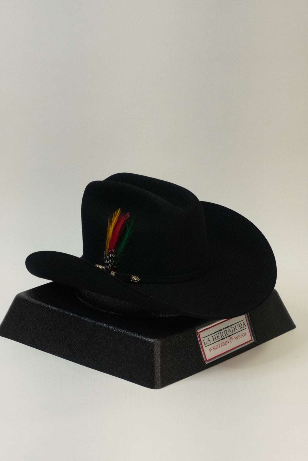 STETSON 6X GUADALUPANA BLACK Laherradurawwnc.com