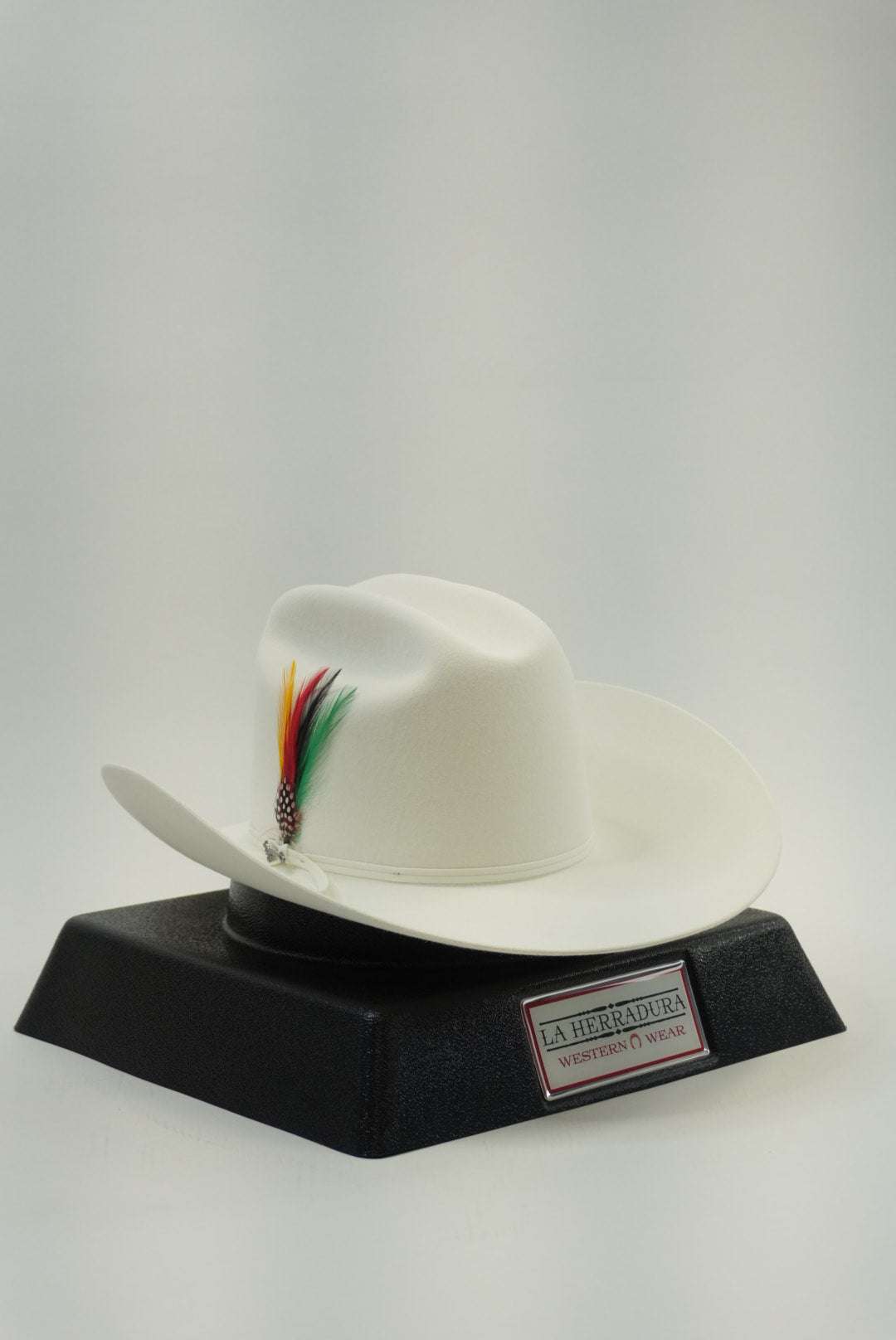 STETSON 6X RANCHER WHITE Laherradurawwnc.com