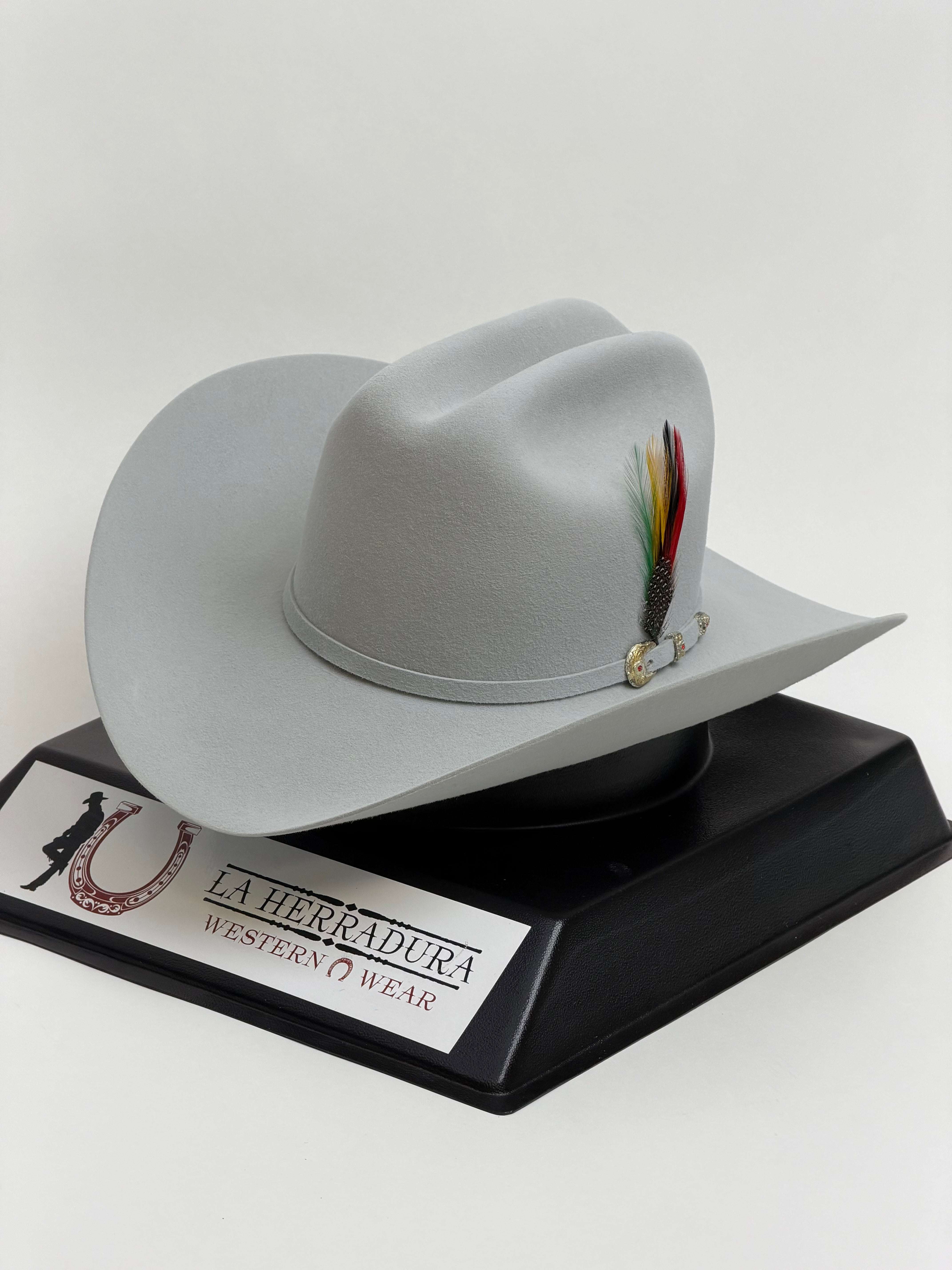 LARRY MAHAN´S 6X REAL PLATINUM Laherradurawwnc.com