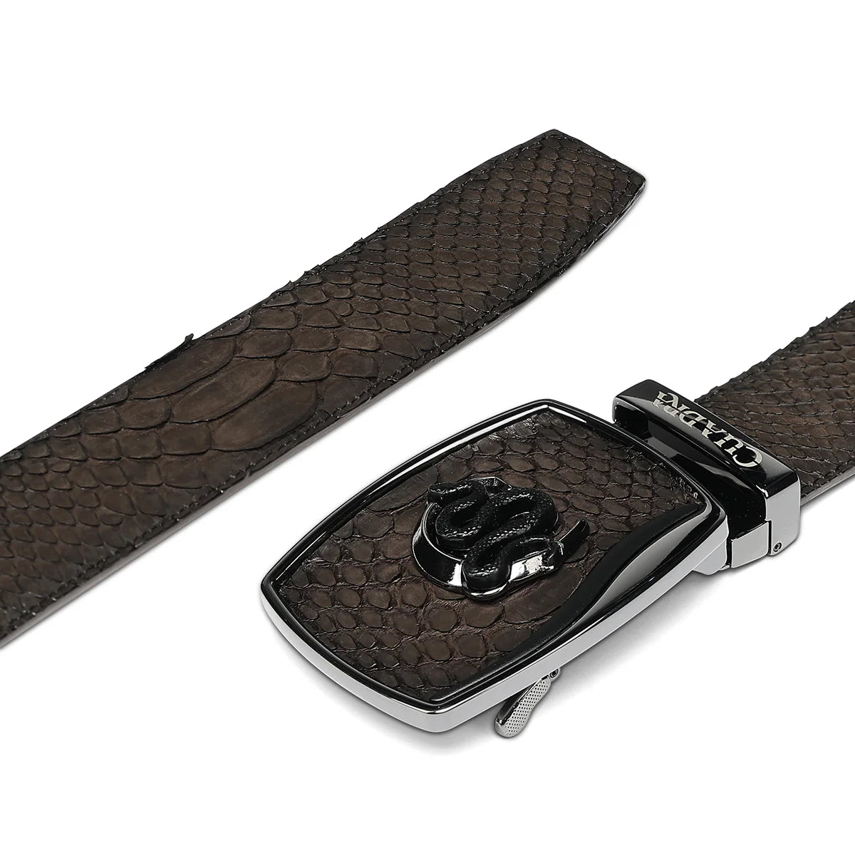 CINTO CUADRA HOMBRE PITÓN CON NOBUCK CAFÉ BC484