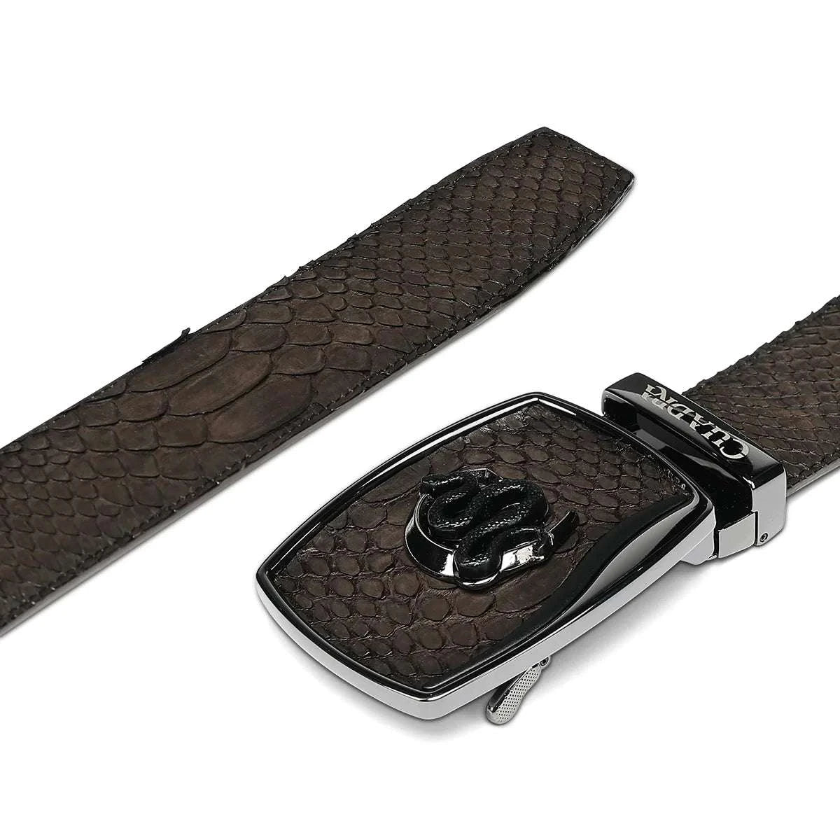 CUADRA MEN PYTHON BACK NUBUCK CAFE BELT BC484 Laherradurawwnc.com