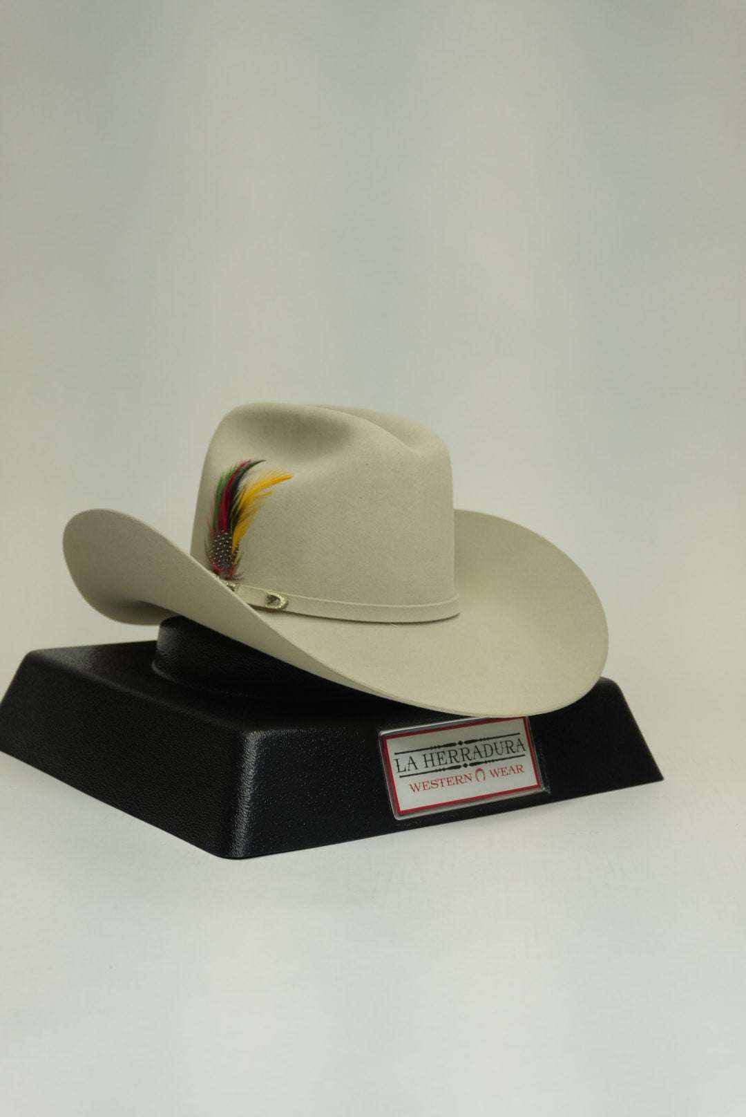 STETSON 10X SHASTA SILVER BELLY Laherradurawwnc.com