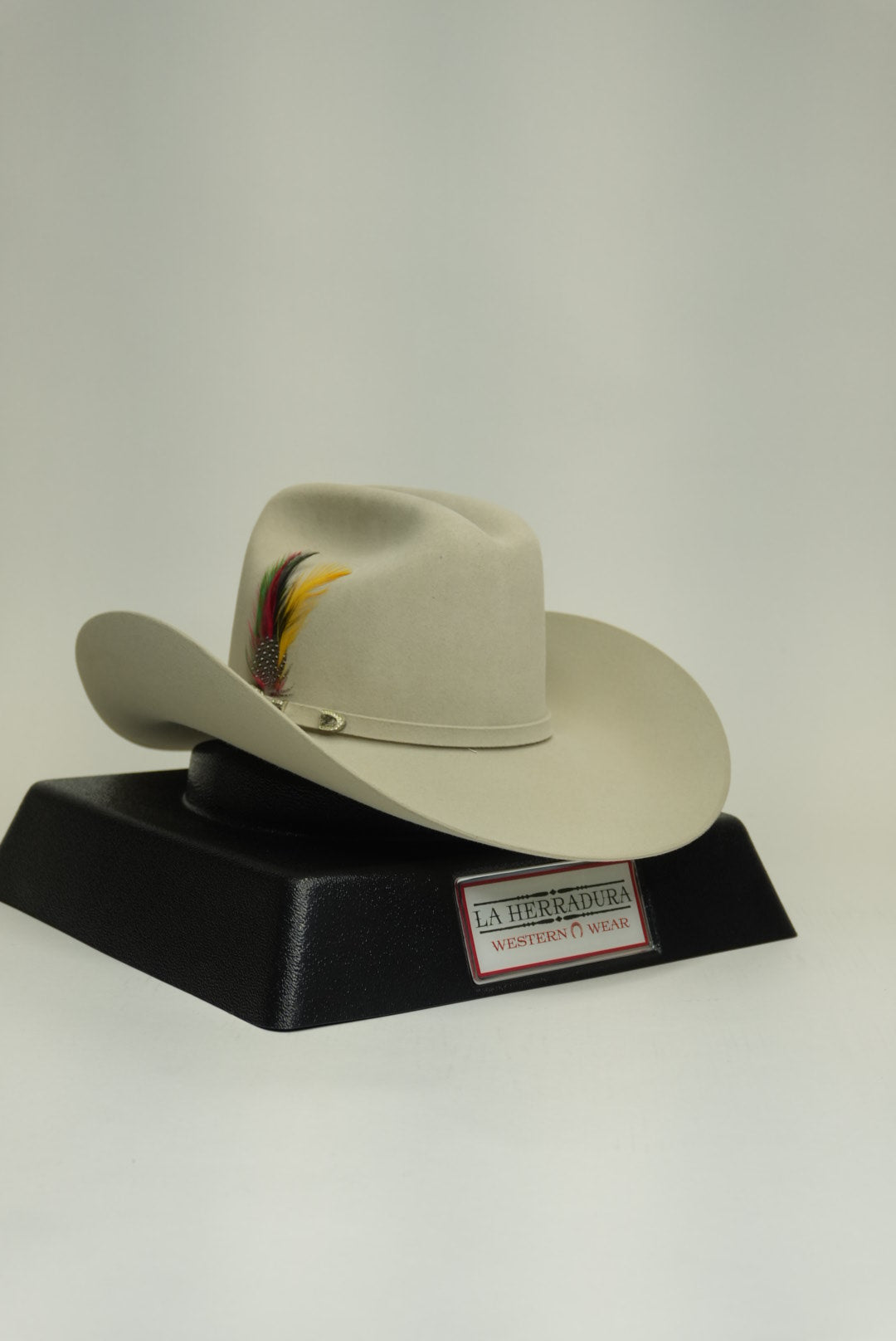 VIENTRE STETSON 10X SHASTA PLATA