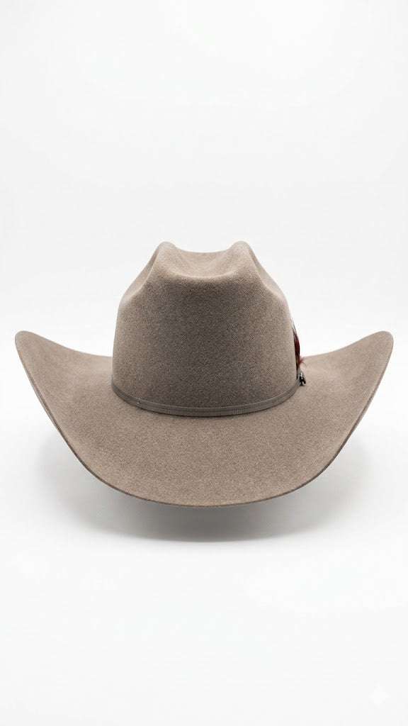 STETSON 6X 20 STONE FALCON Laherradurawwnc.com