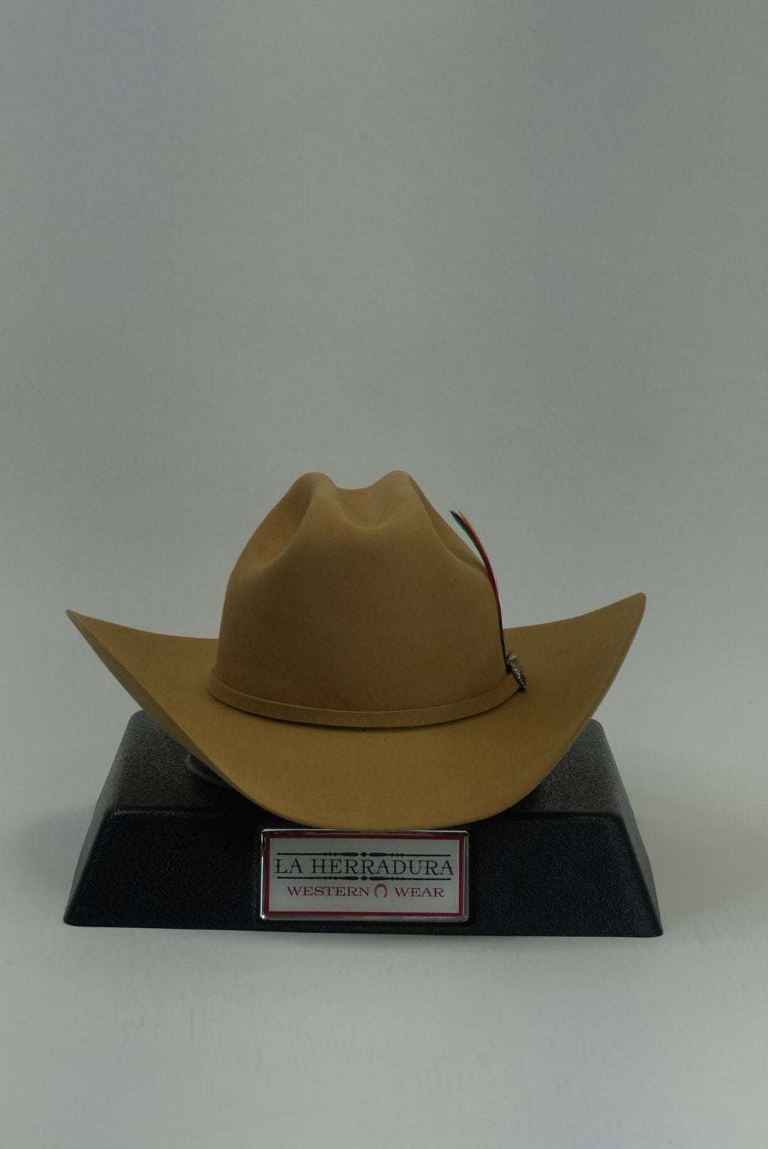 STETSON 10X SHASTA BUTTERSCOTCH Laherradurawwnc.com