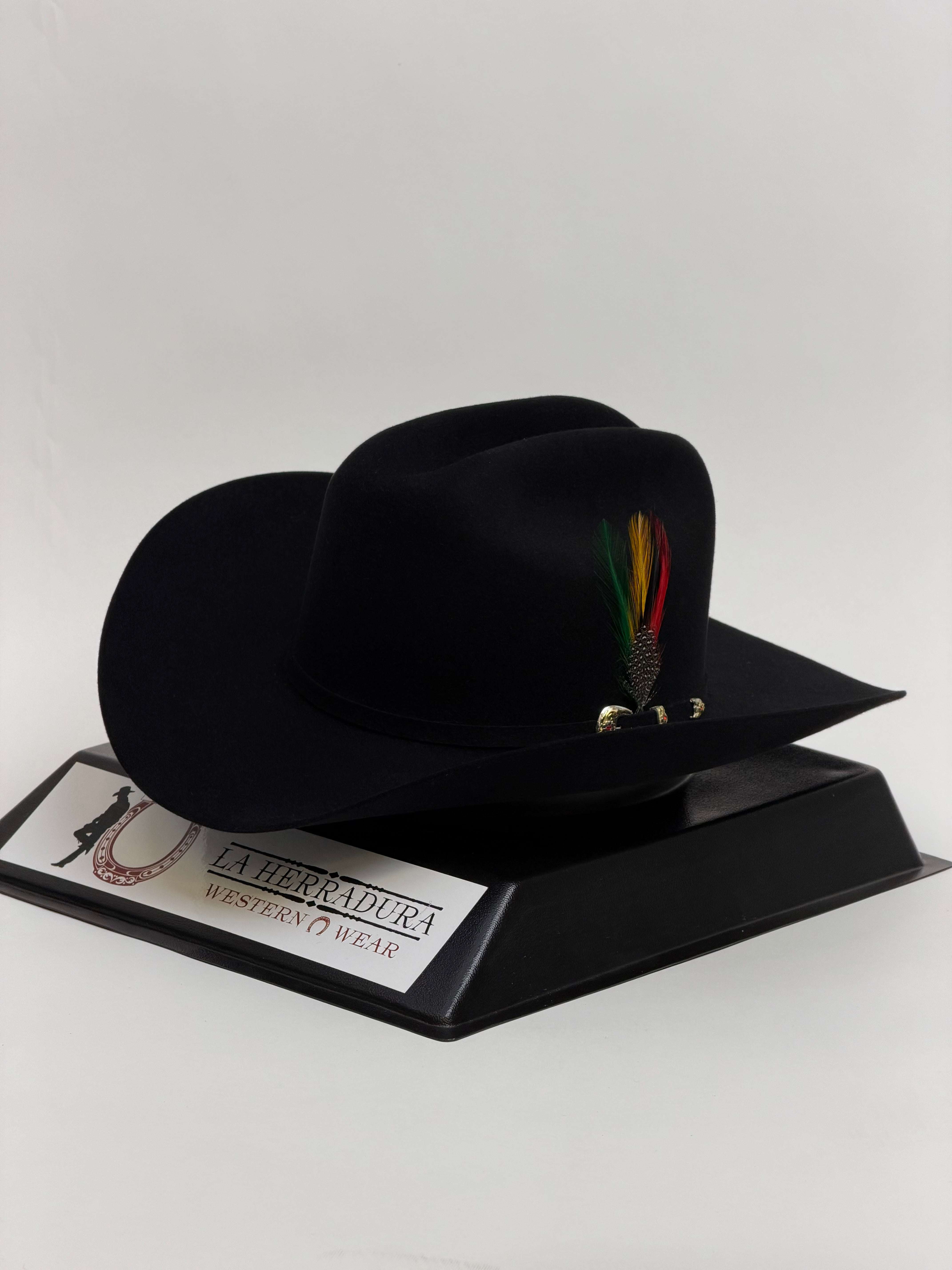 LARRY MAHAN´S 6X REAL BLACK Laherradurawwnc.com