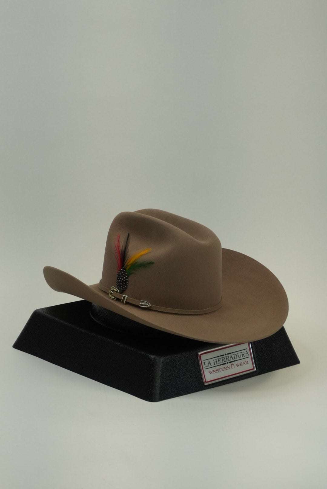 STETSON 6X E5 SKYLINE TRADICIONAL SAHARA Laherradurawwnc.com