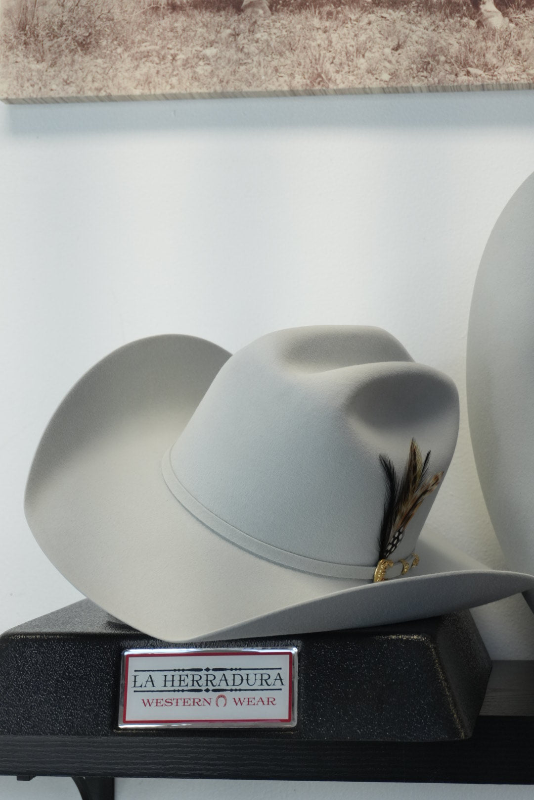 LARRY MAHANS 30X PLATINUM OPULENTO