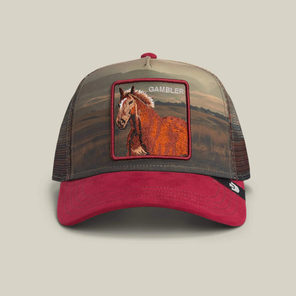 GOORIN CAP - STALLION IN THE ELEMENT