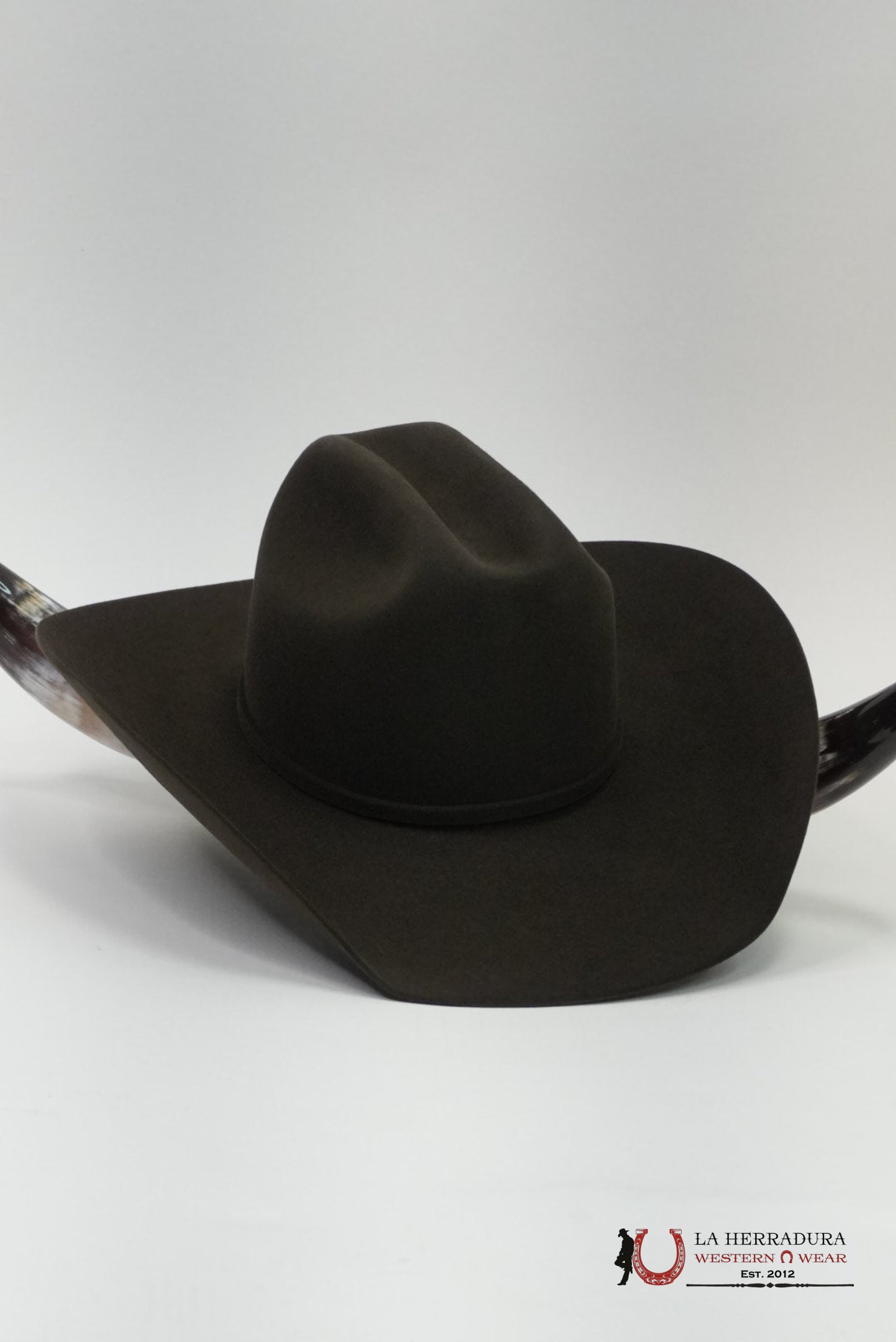 American Hat 10x Evergreen Cowboy Hat TEJANA