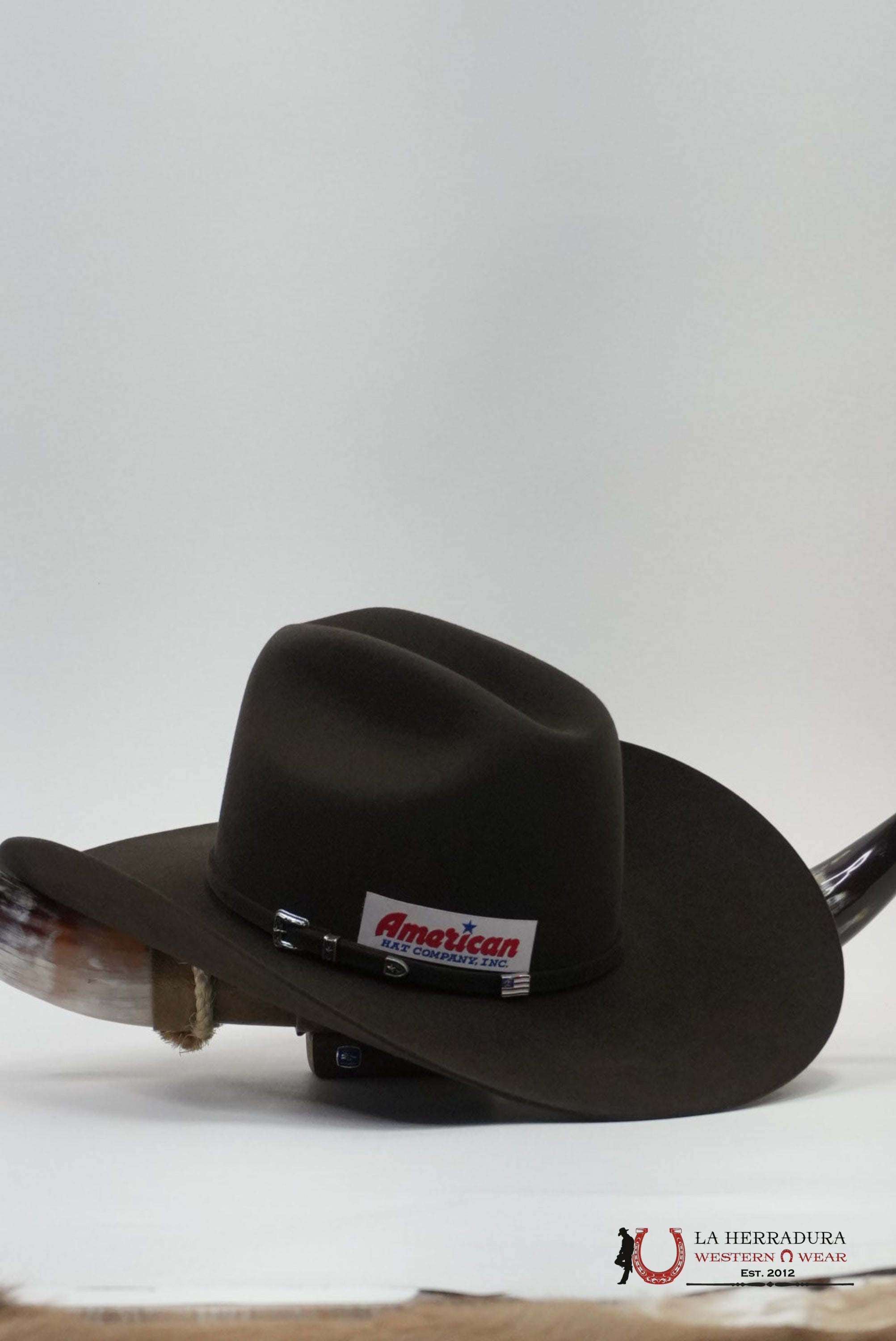 American Hat 10x Evergreen Cowboy Hat TEJANA