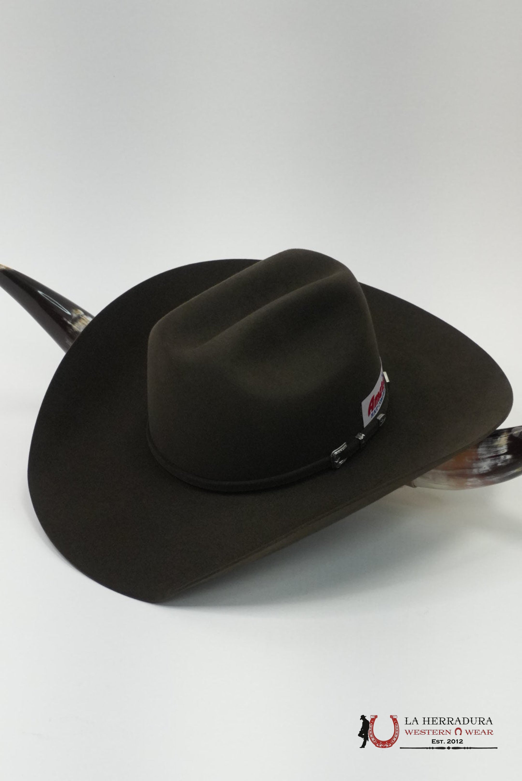 American Hat 10x Evergreen Cowboy Hat TEJANA