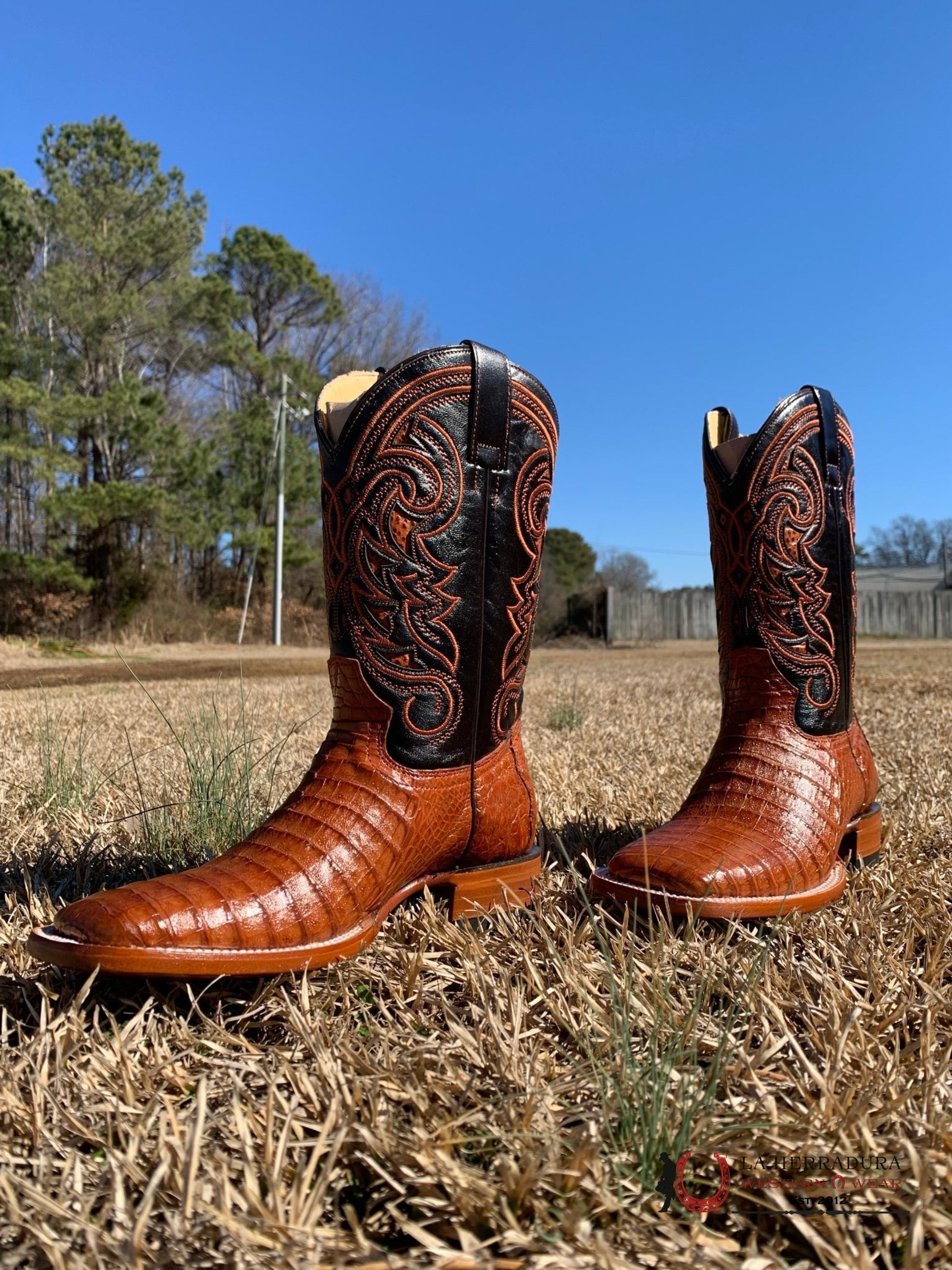 Arango Boots Pro-Rodeo Coco Belly Cogñac Botas Hombres