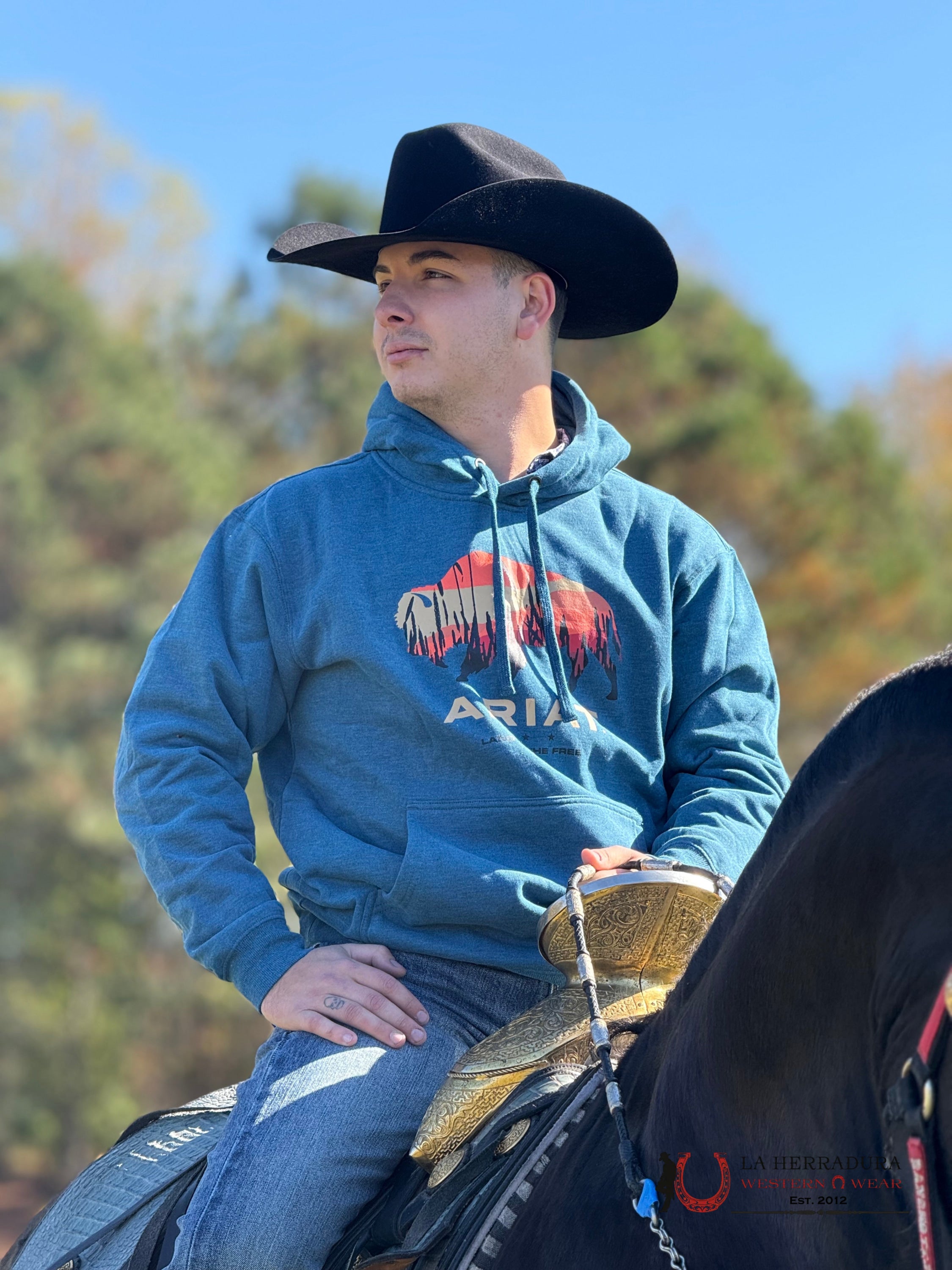 Ariat Bison Plains Hoodie Hydra Heather - 2459 Ropa Hombres