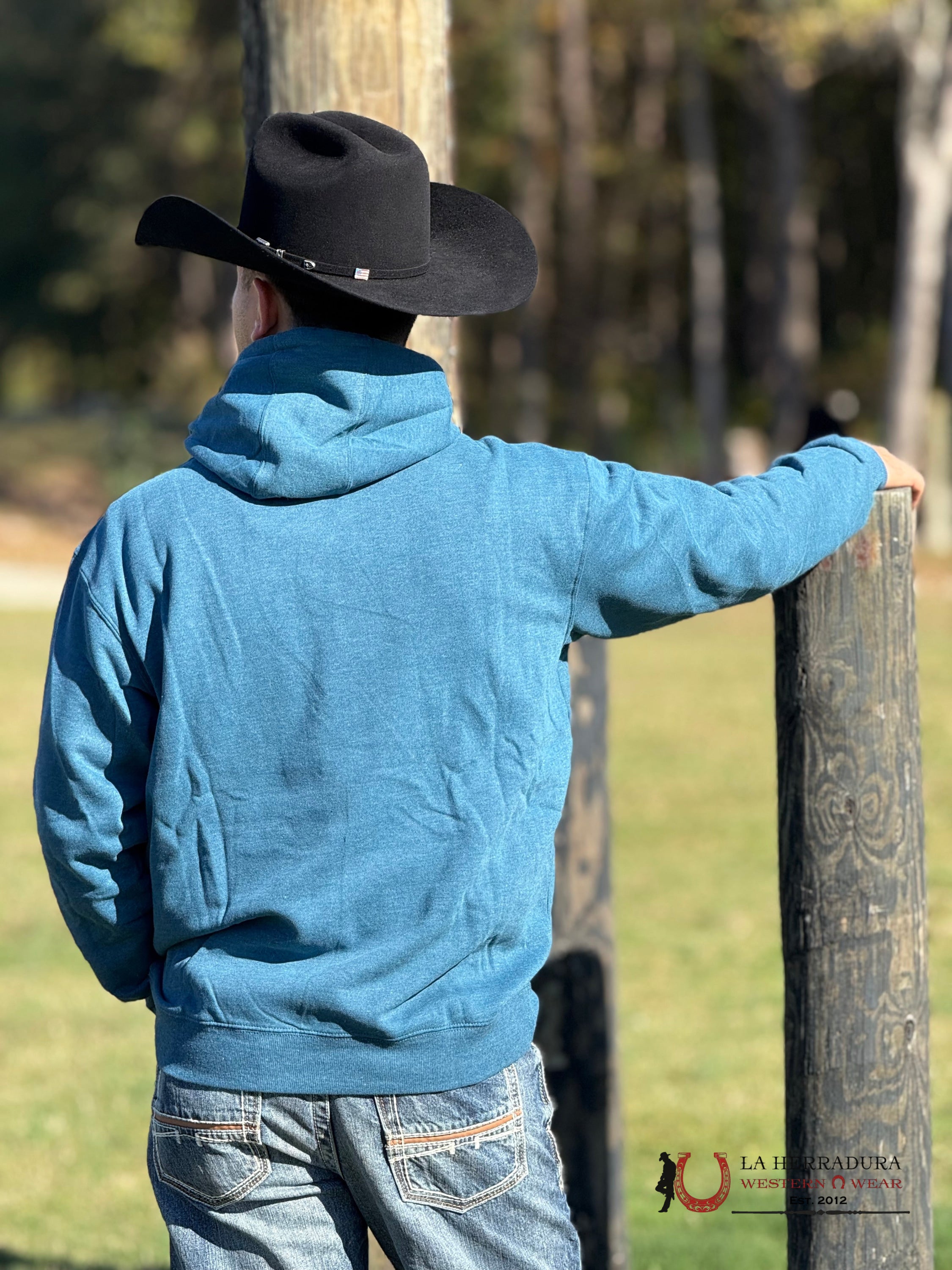 Ariat Bison Plains Hoodie Hydra Heather - 2459 Ropa Hombres