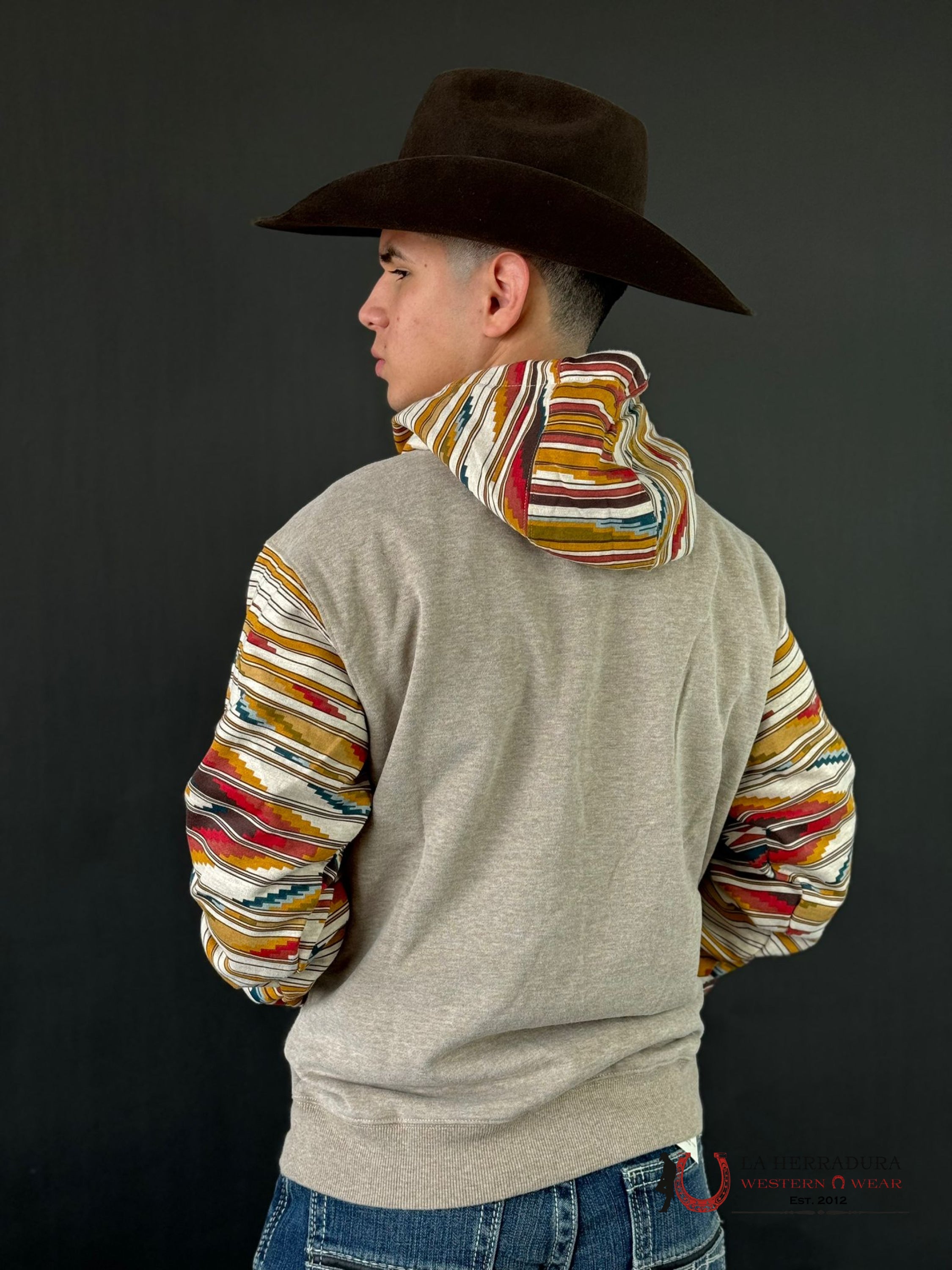 Ariat Colorblocked Chimayo Hoodie Beige Ropa Hombres