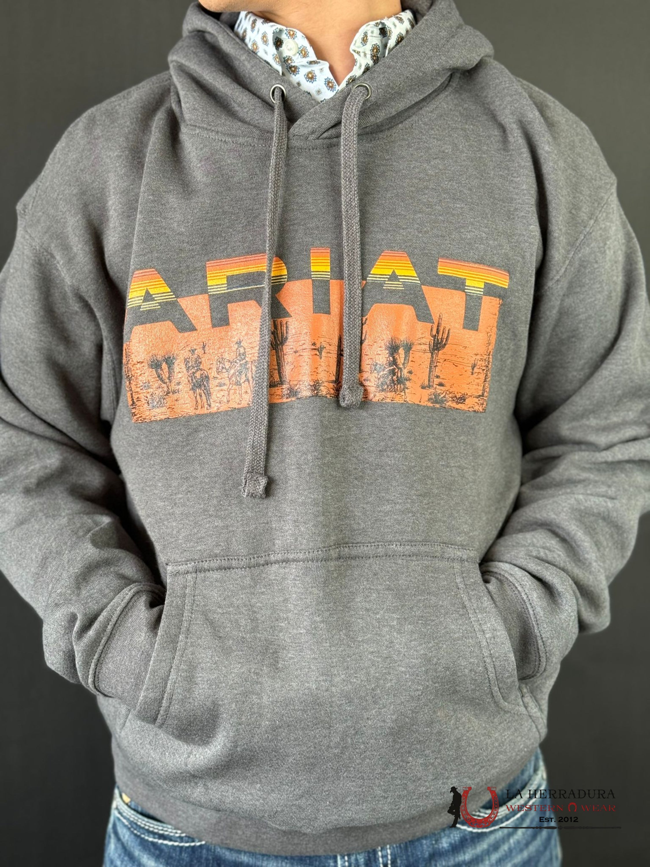 Ariat Desert Roam Hoodie Charcoal Heather Ropa Hombres