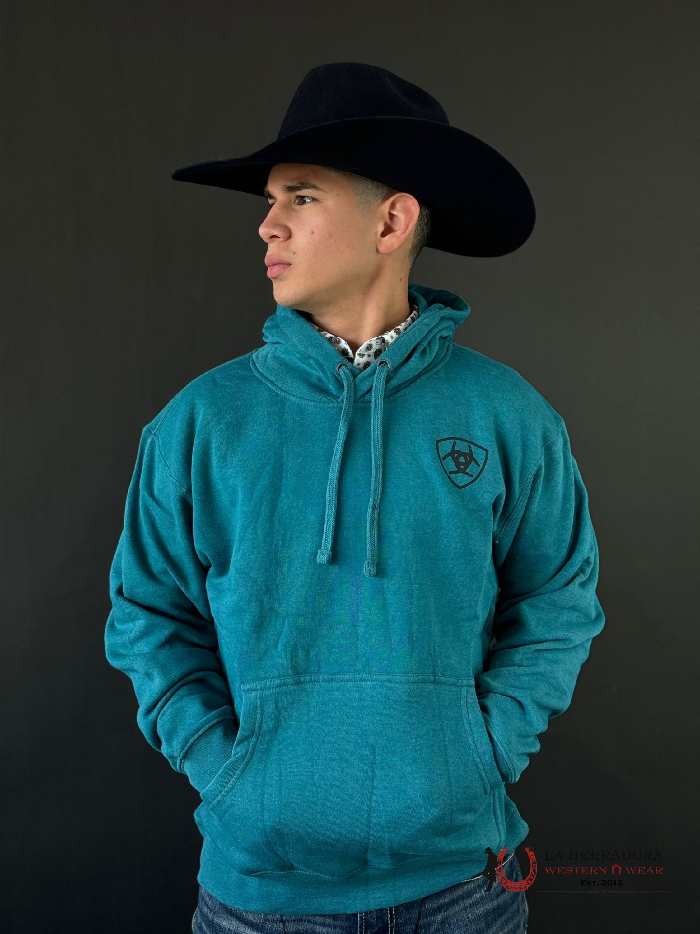 Ariat Desert Sun Hoodie Ocean Depths Heather Ropa Hombres