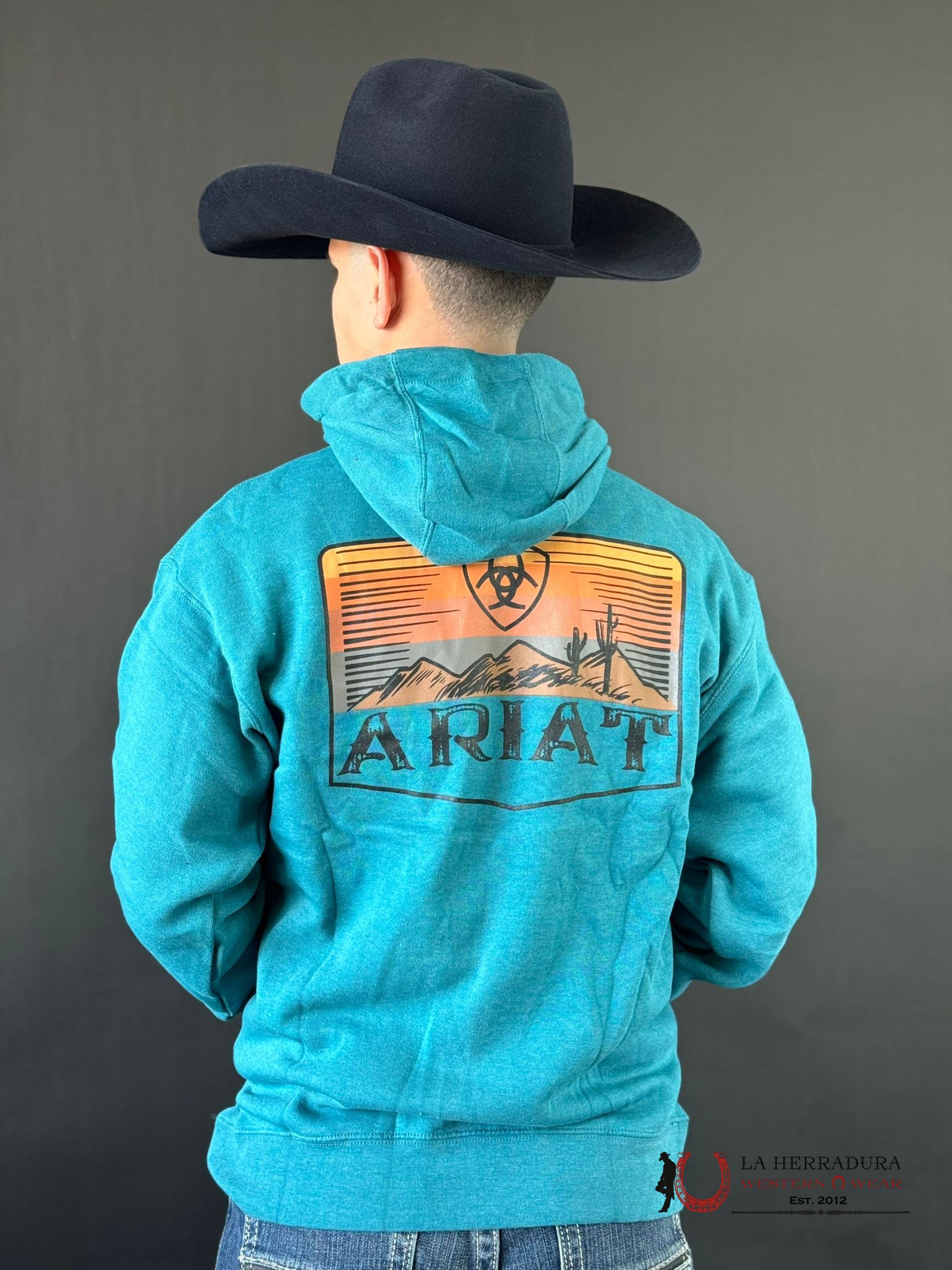 Ariat Desert Sun Hoodie Ocean Depths Heather Ropa Hombres