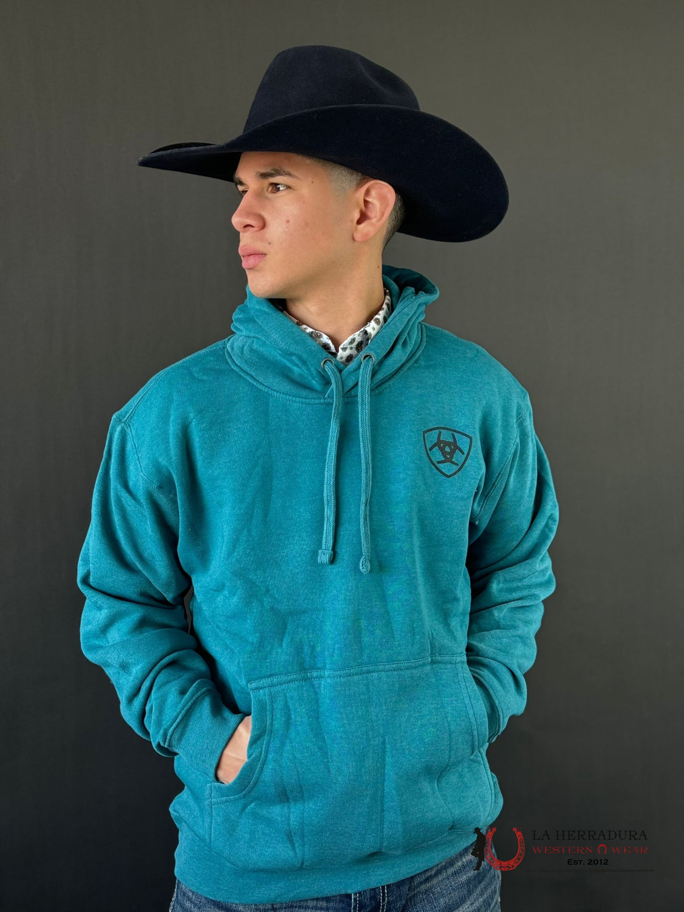 Ariat Desert Sun Hoodie Ocean Depths Heather Ropa Hombres