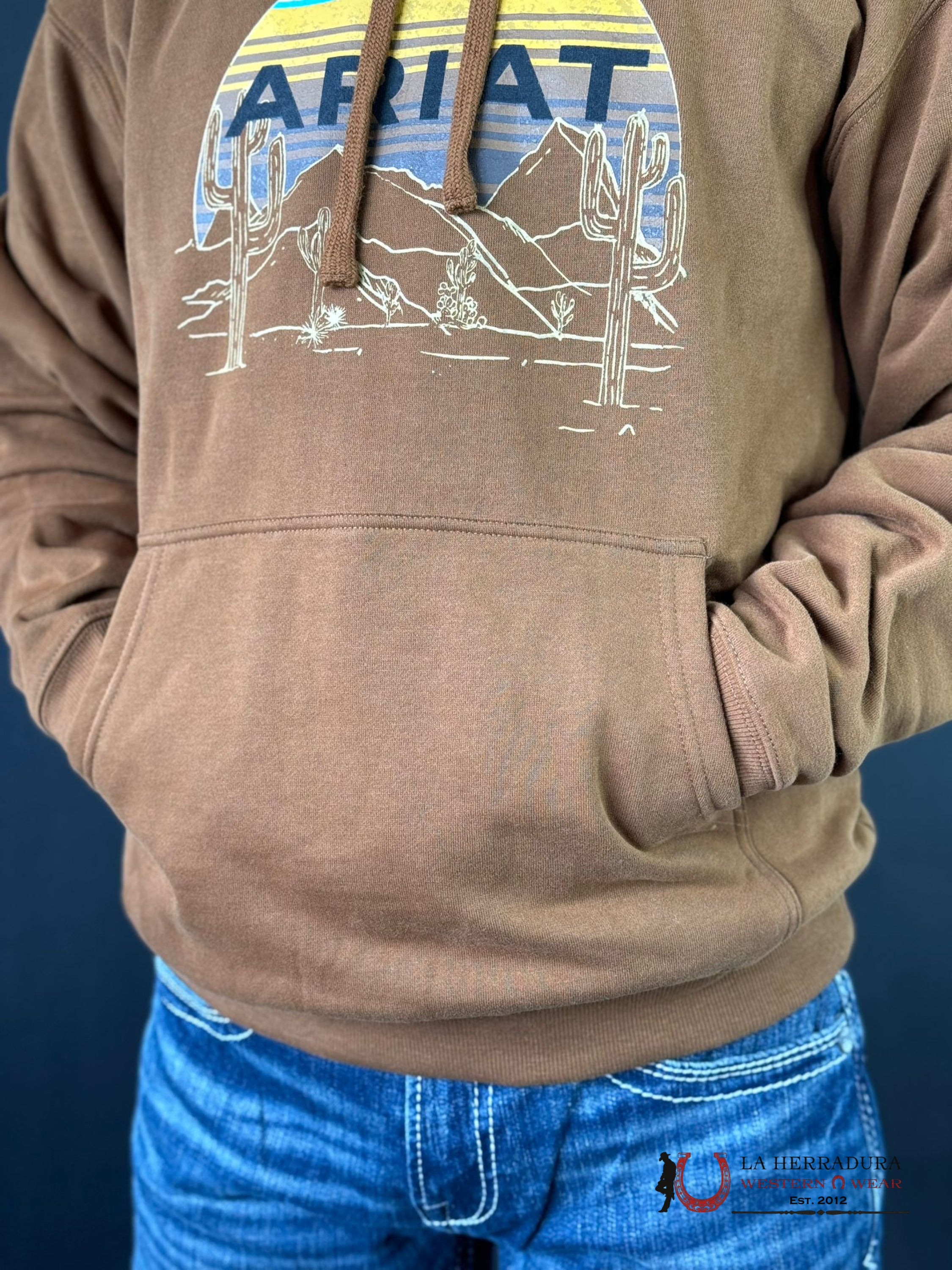 Ariat Desert Sunrise Hoodie Chestnut Horse Ropa Hombres