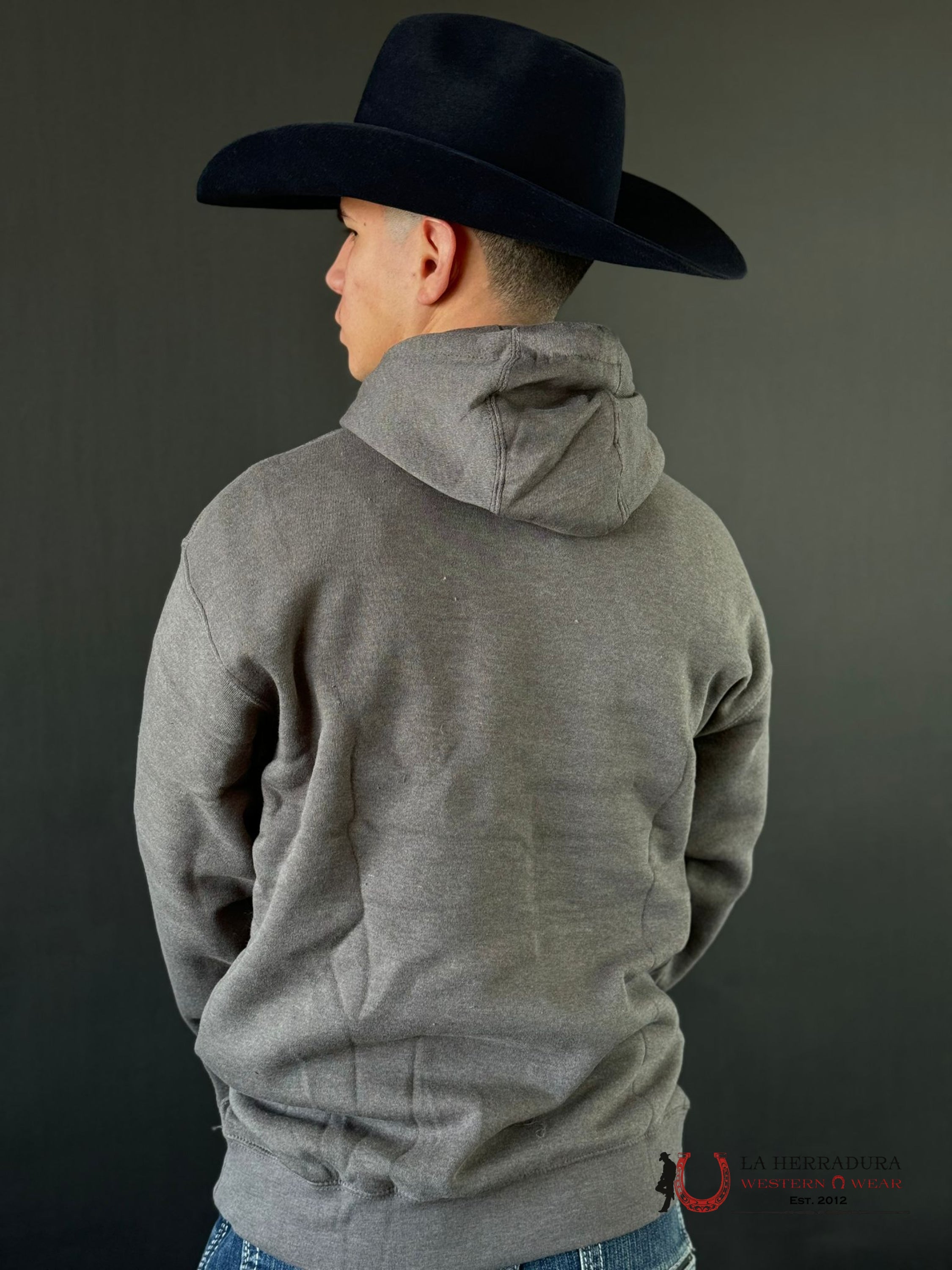 Ariat Horns Southwest Hoodie Medium Grey Heather Ropa Hombres