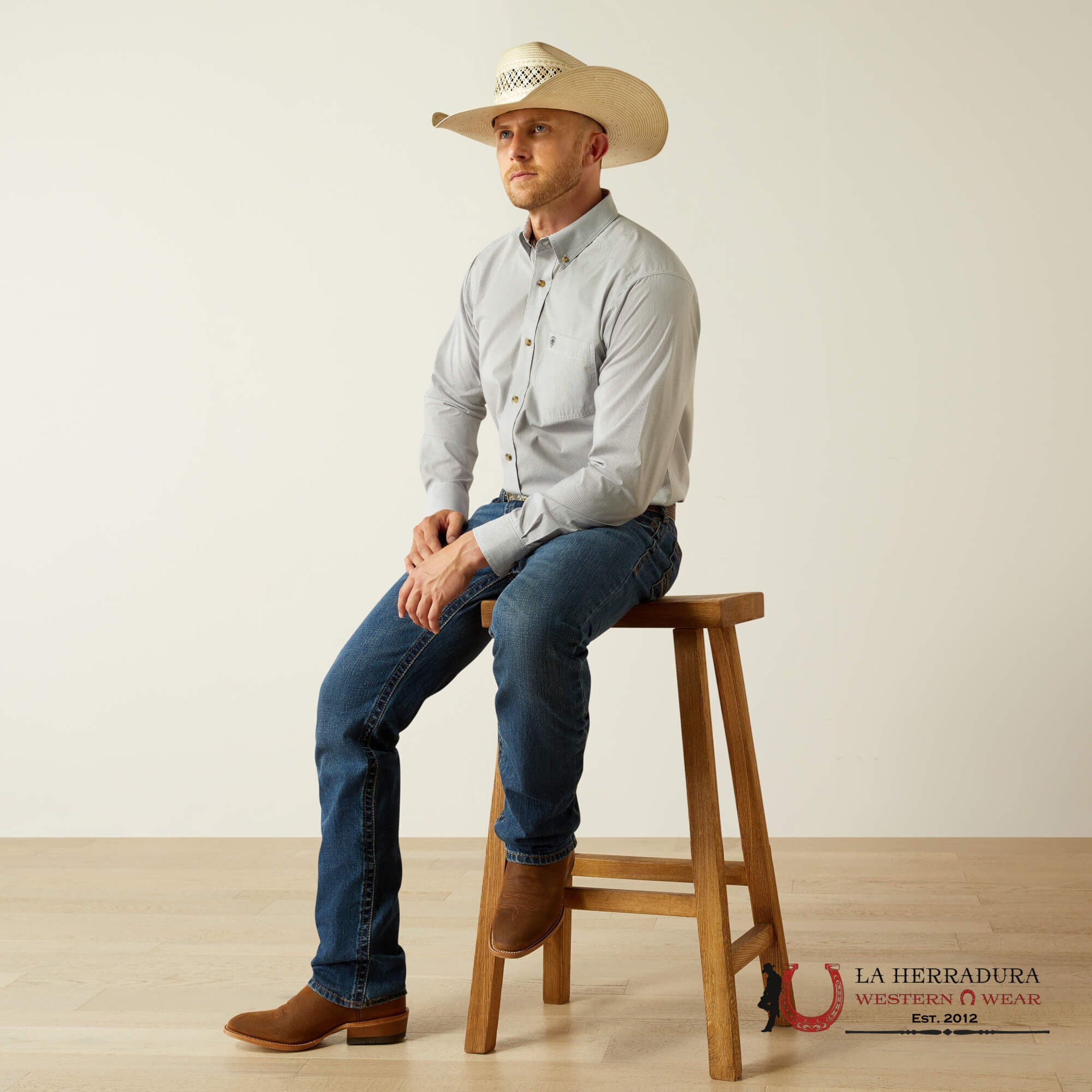 ARIAT MENS Dayne Grey Striped Longsleeve Phantom Shirt - 5268 ROPA HOMBRES