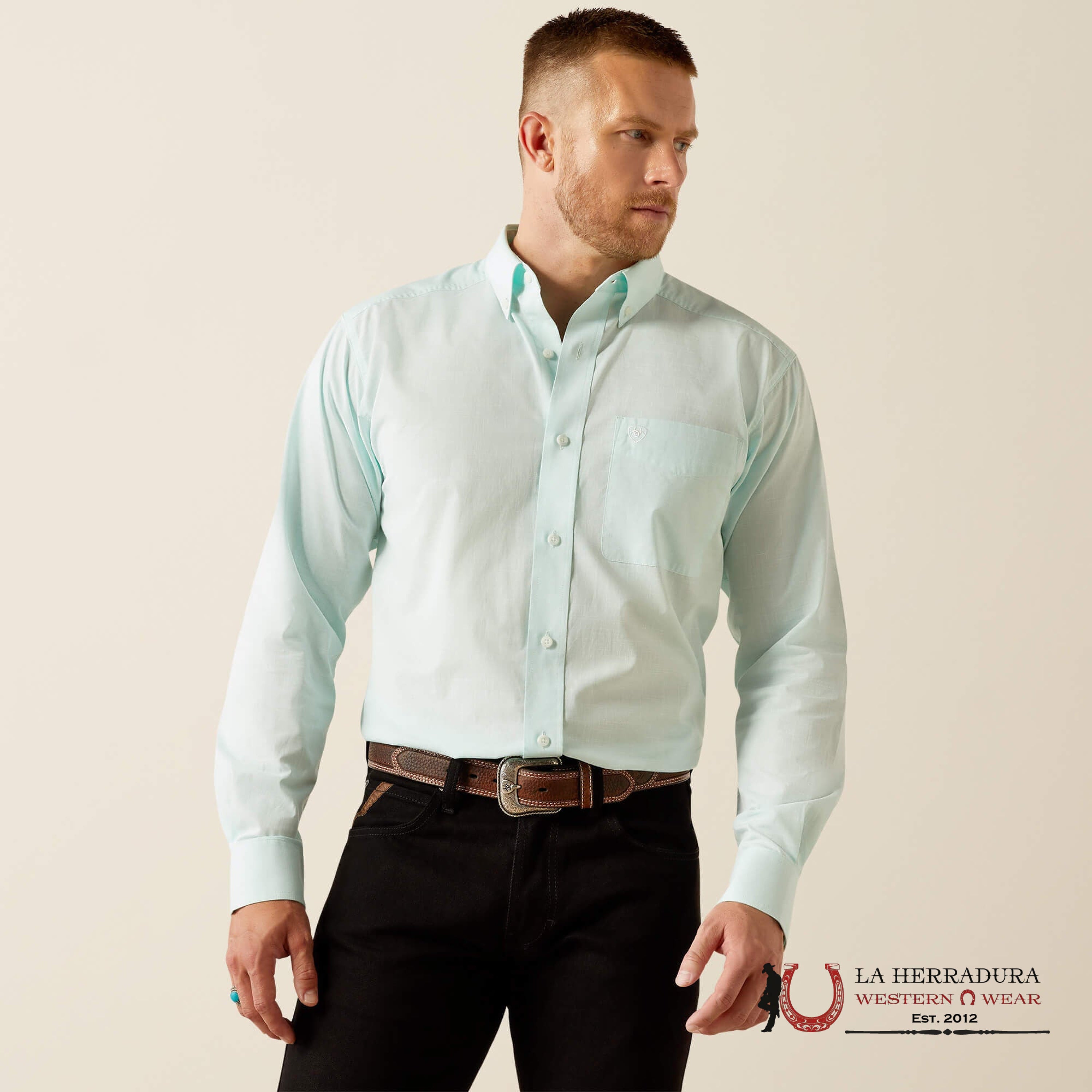 ARIAT MENS Solid Slub Long Sleeve Mint Shirt - 5116 ROPA HOMBRES