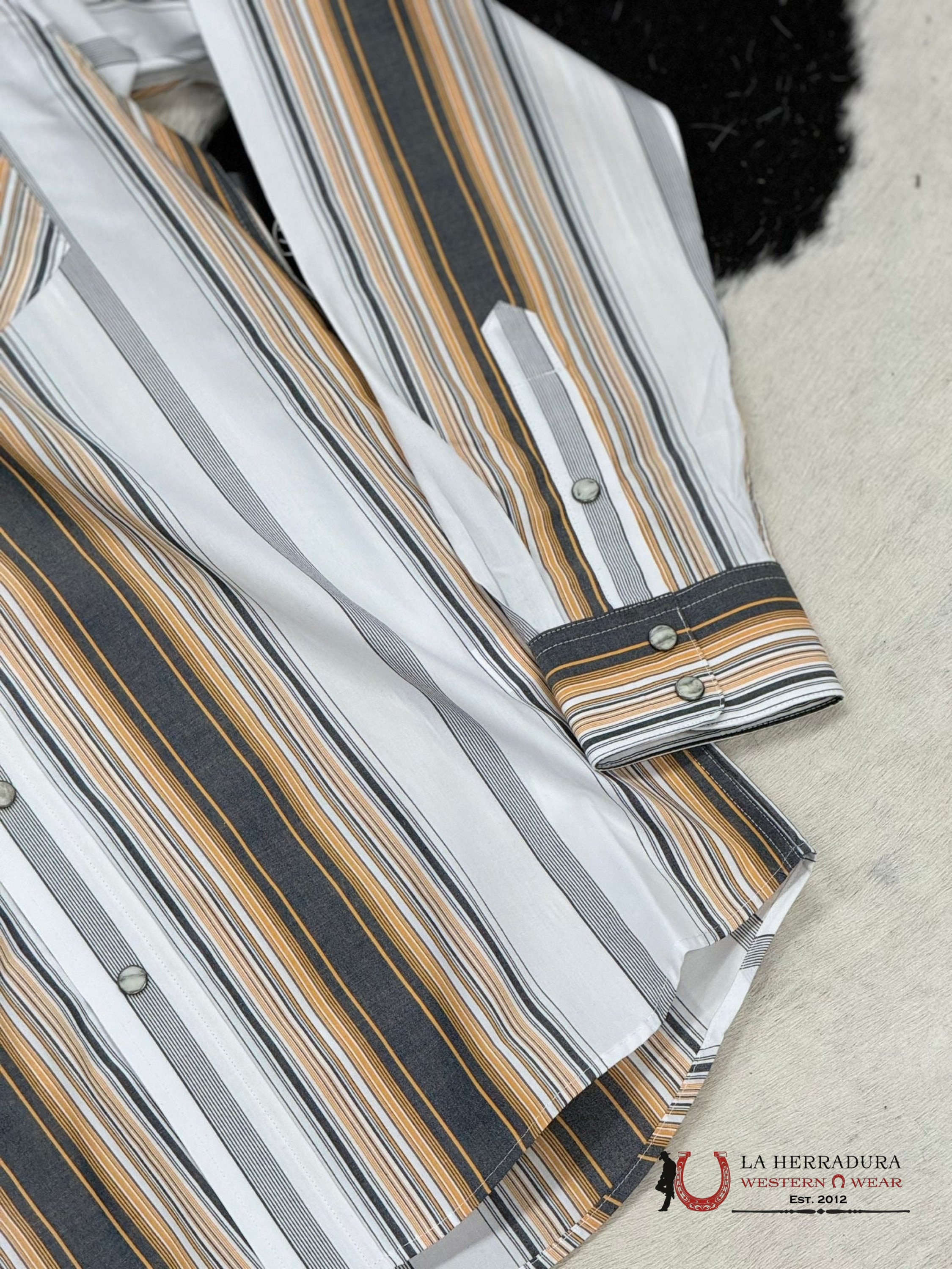 Ariat Pro Evan Black Snap Long Sleeve Shirt Ropa Hombres