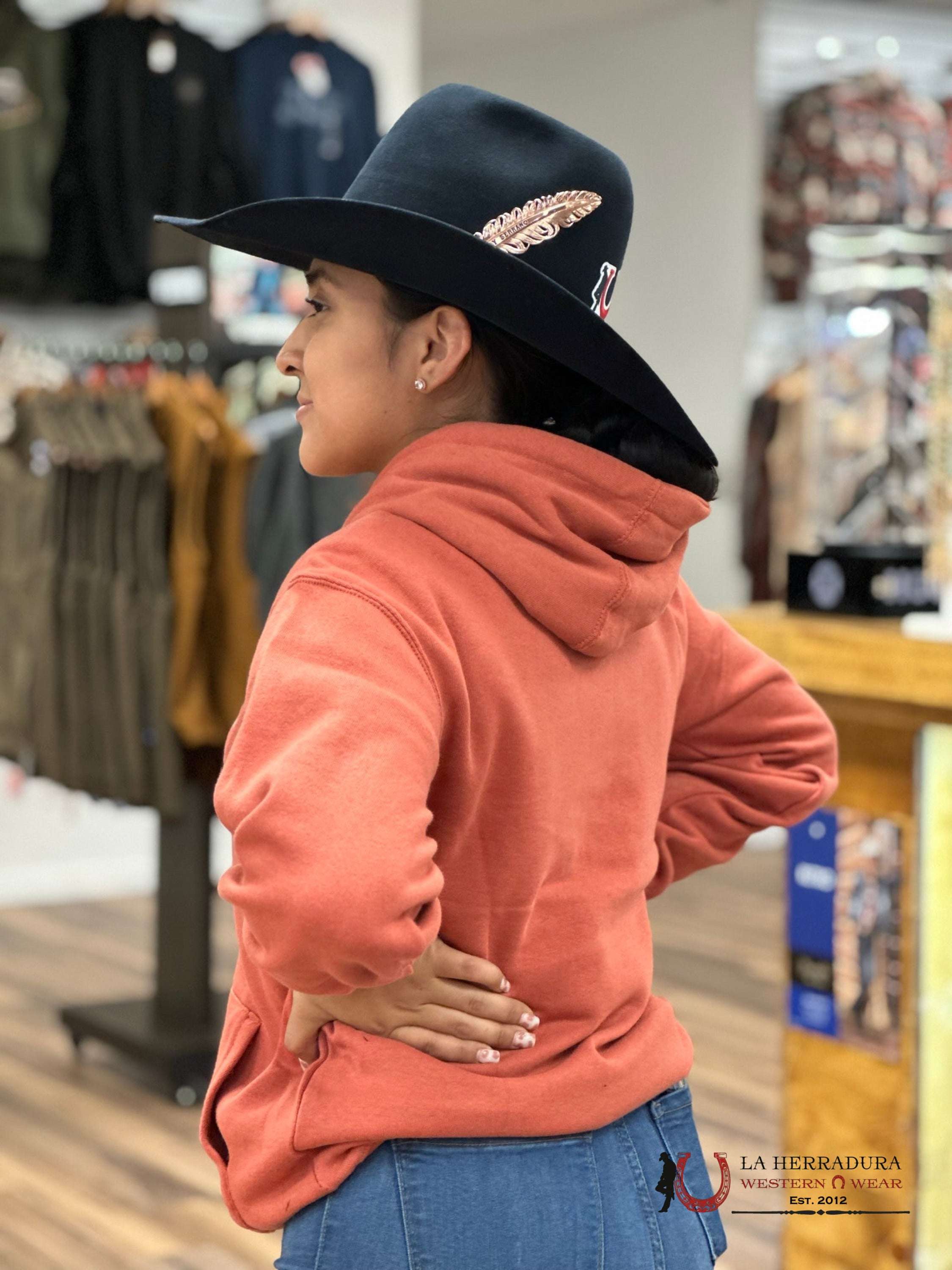 Ariat Real Branded Logo Hoodie Aragon Ropa Mujeres