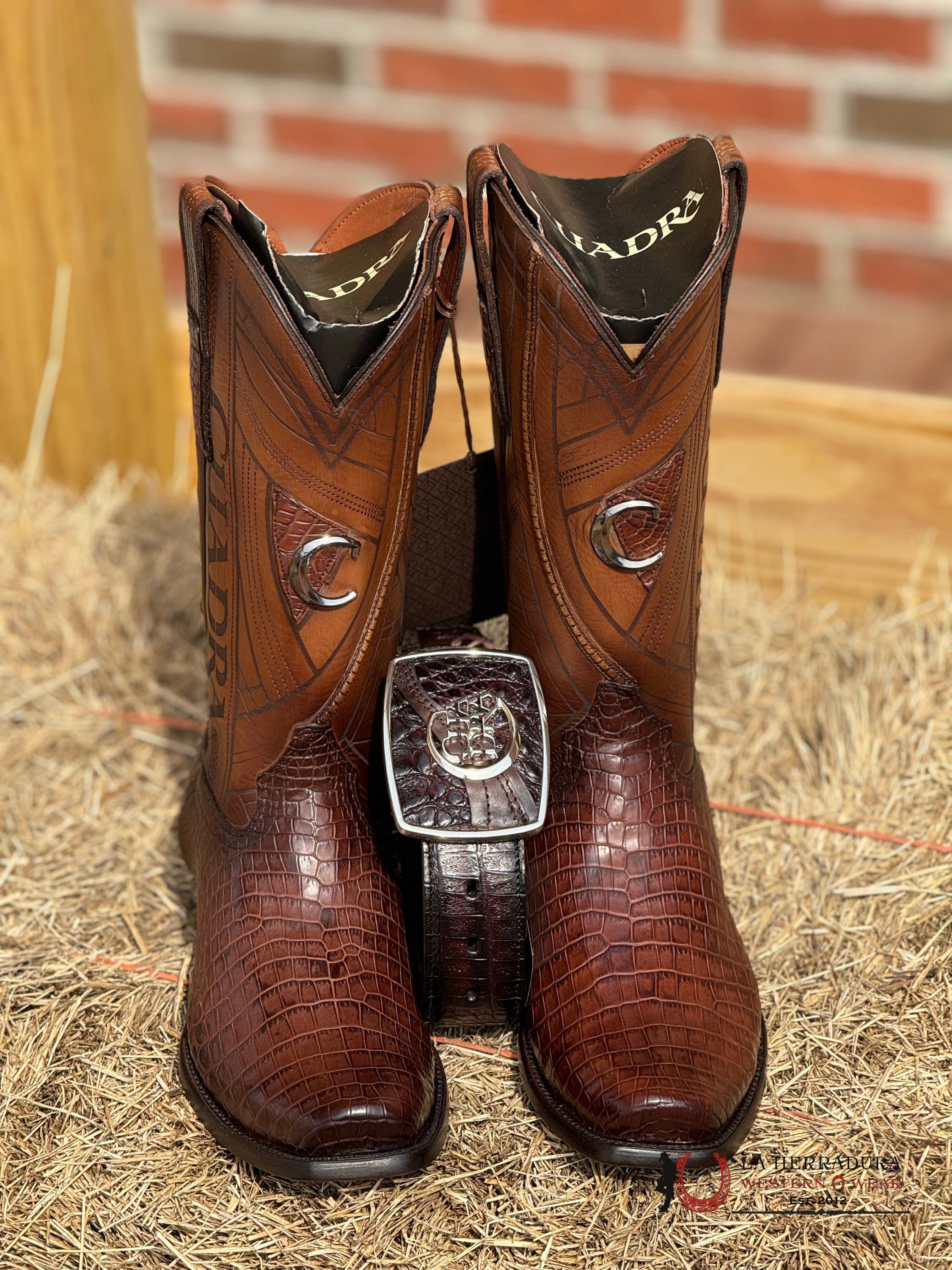 Boots Cuadra Moreletti Lomo Belly Brown Cocodrilo Narrow Toe Botas Hombres