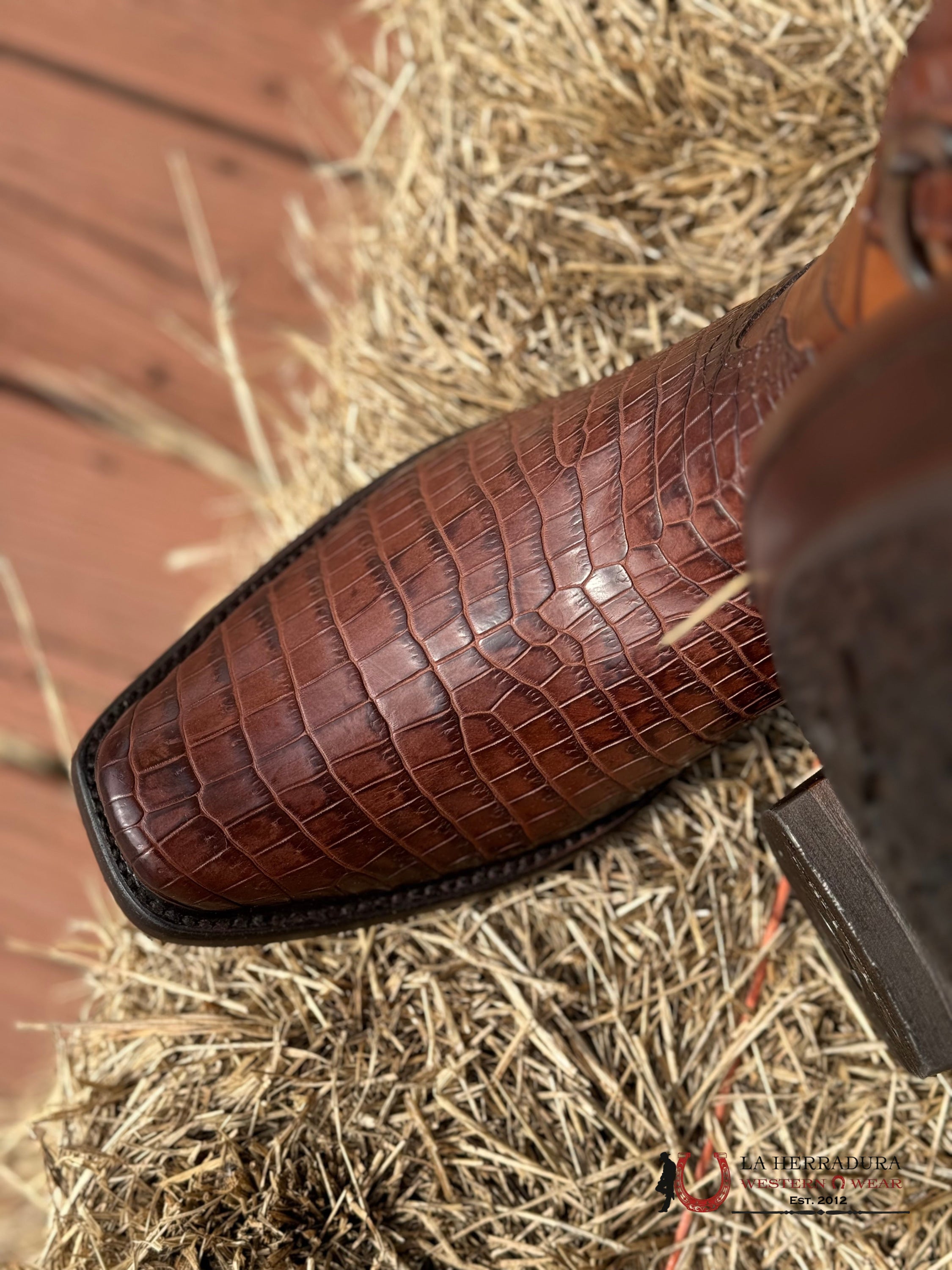 Boots Cuadra Moreletti Lomo Belly Brown Cocodrilo Narrow Toe Botas Hombres