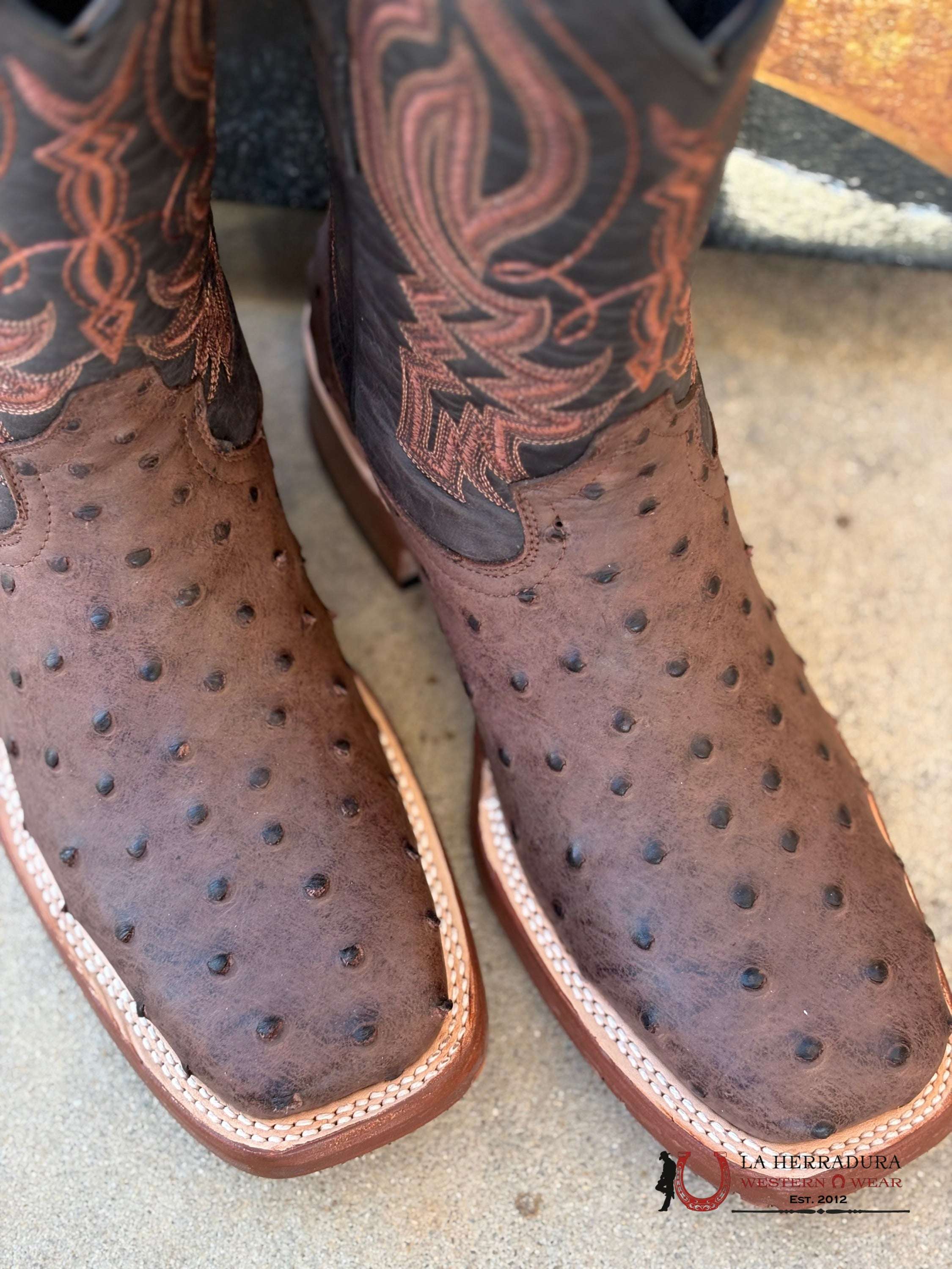 BOOTS TANNER MARK PRINT OSTRICH BLACK BRUSELAS TOP-5557 BOTAS HOMBRES