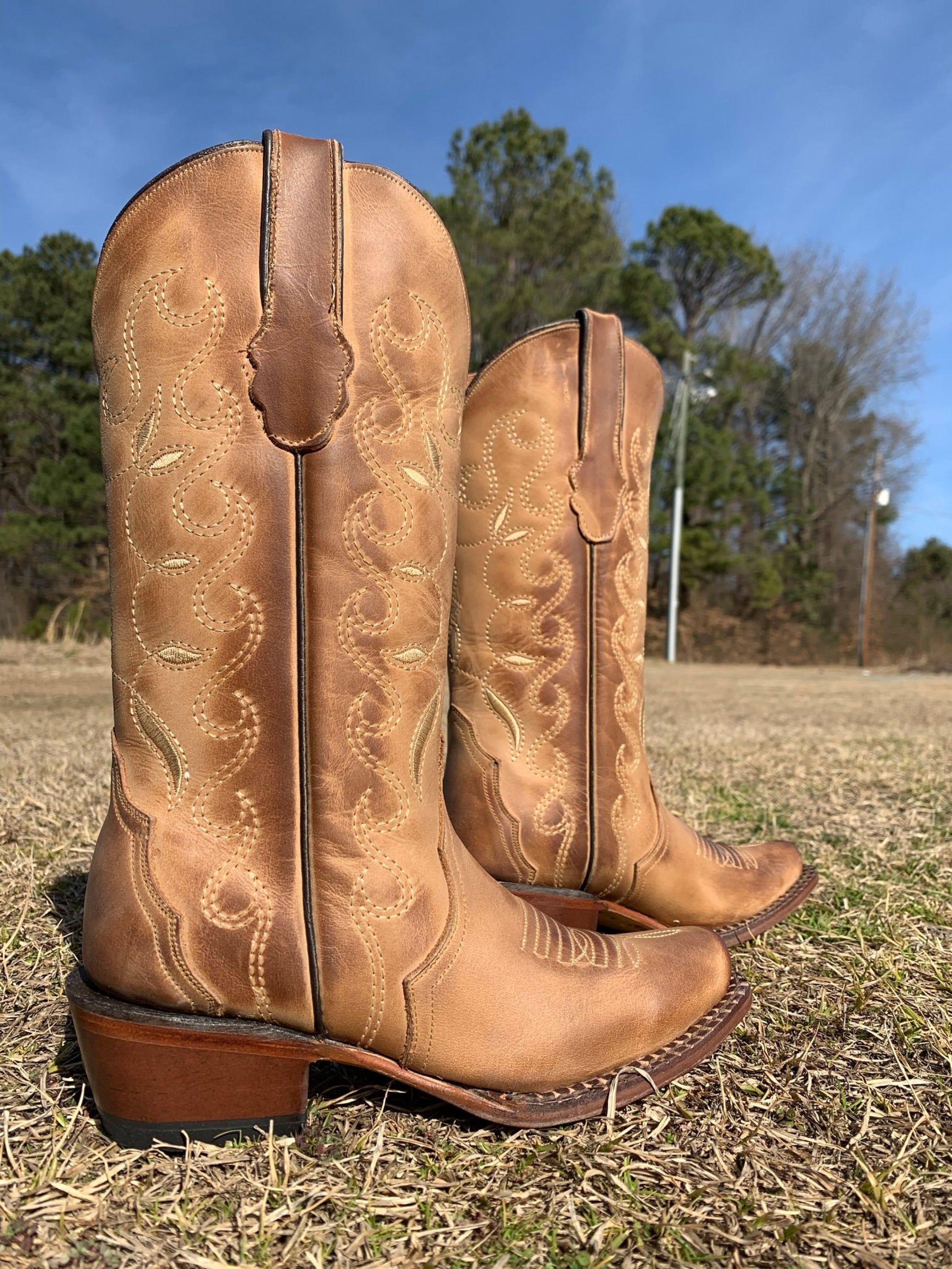 Botas Tanner Mark Lewis Ville Canyon Mujeres