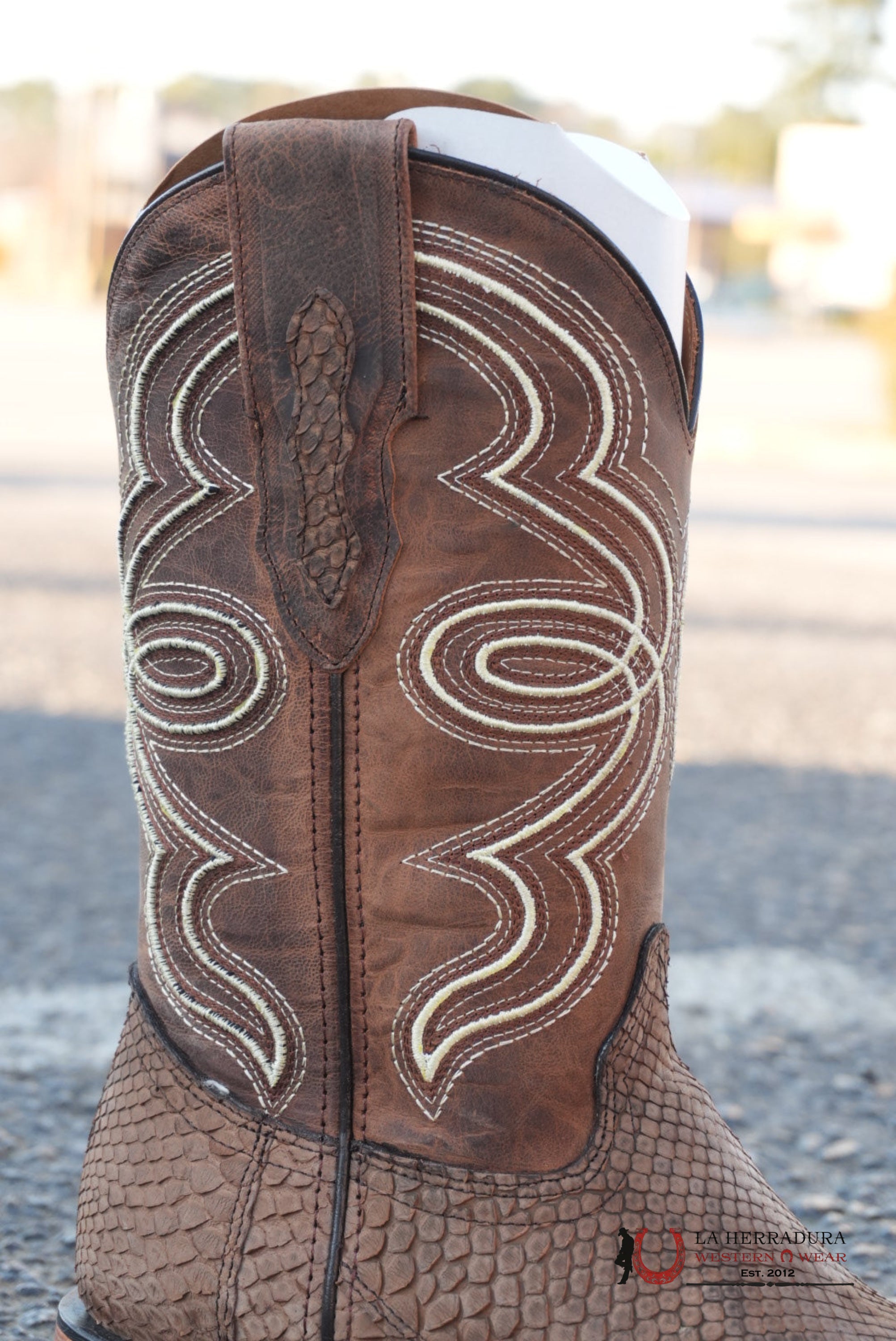 BuckShot Python Tamarindo Belly Square Toe Boot BOTAS HOMBRES