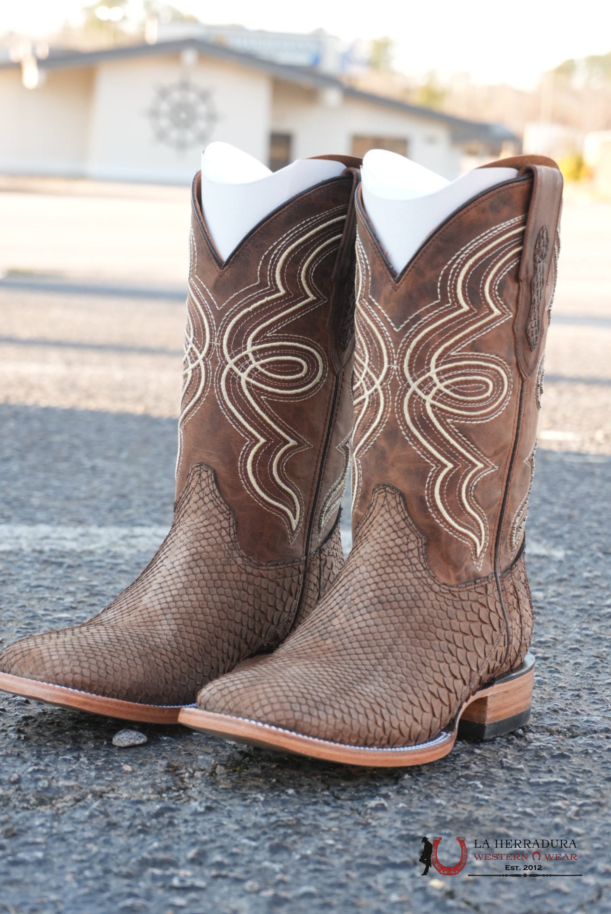 BuckShot Python Tamarindo Belly Square Toe Boot BOTAS HOMBRES