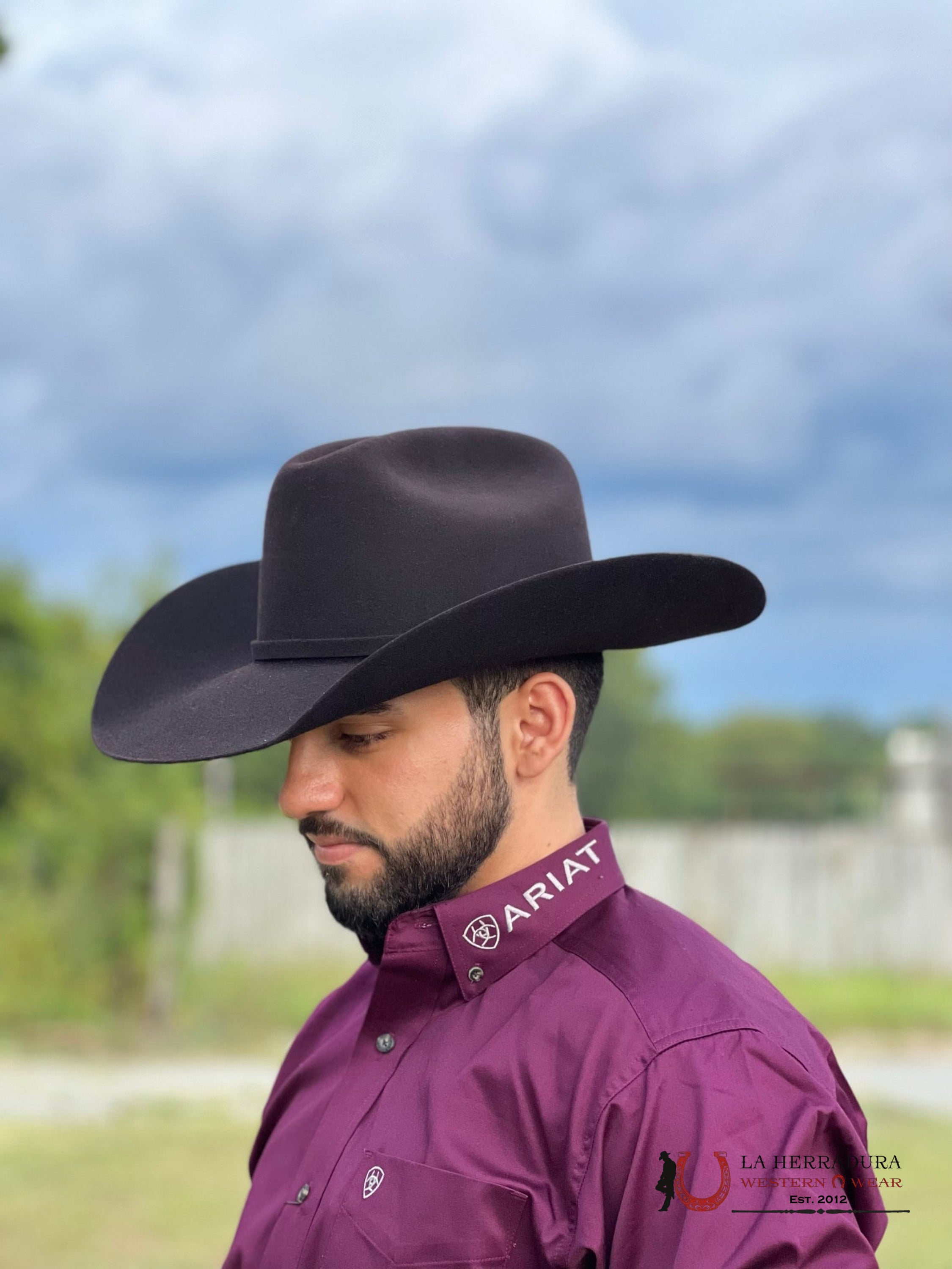 Camisa Ariat Beet Serape Logo Twill Classic Ropa Hombres