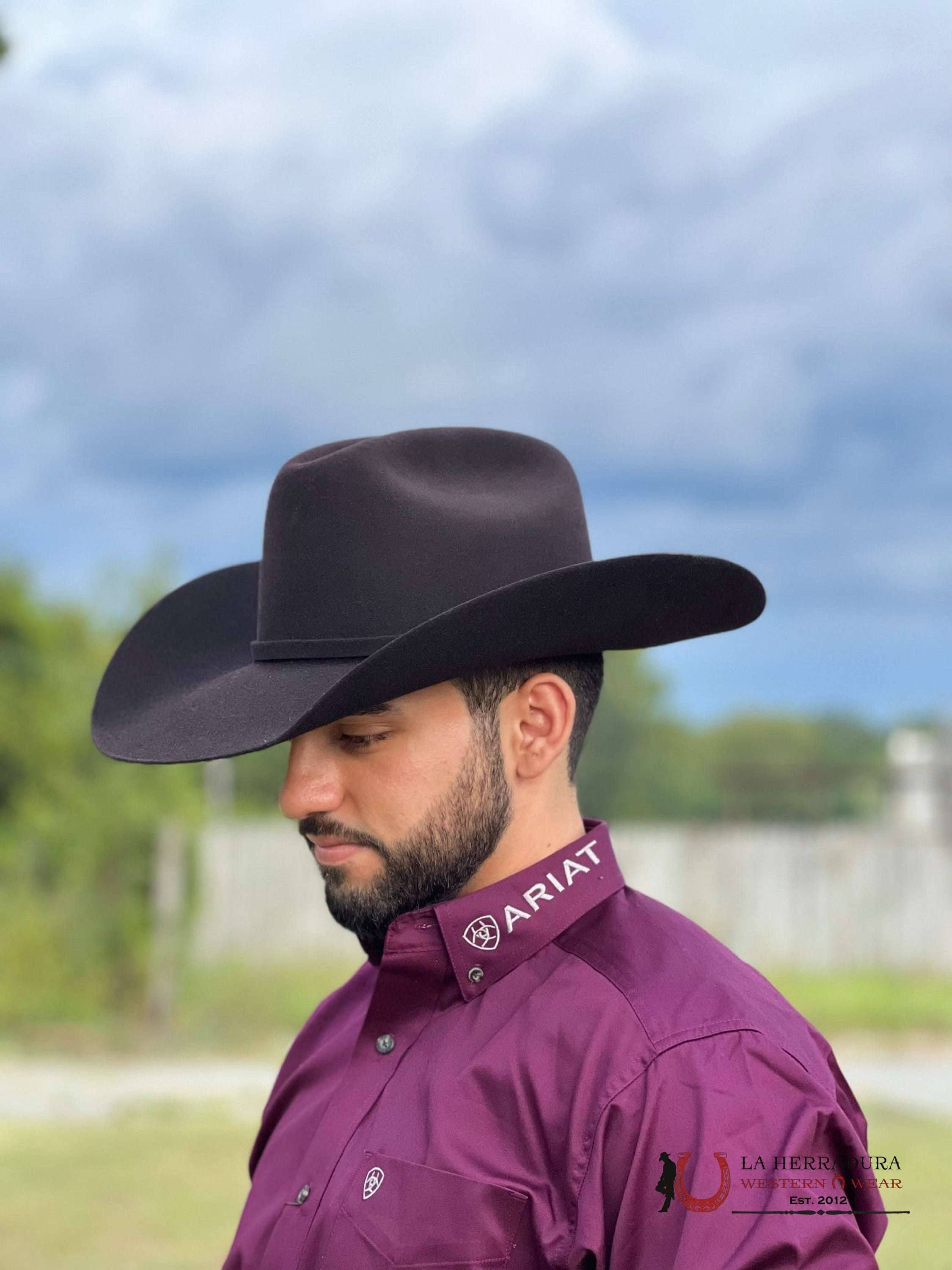 Camisa Ariat Beet Serape Logo Twill Classic Ropa Hombres