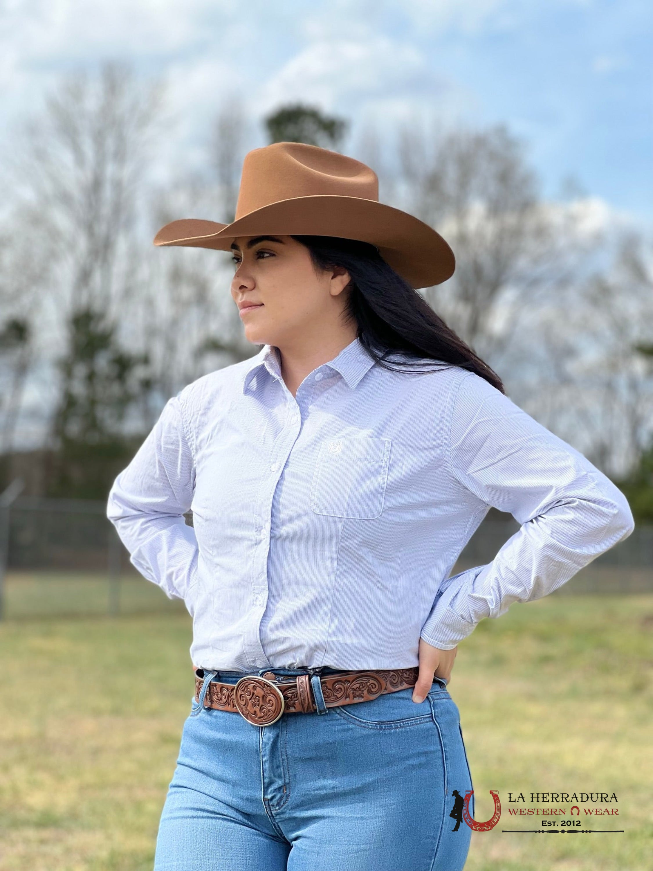Camisa Para Mujeres Cinch Blue Diseño Detras Cactus Ropa