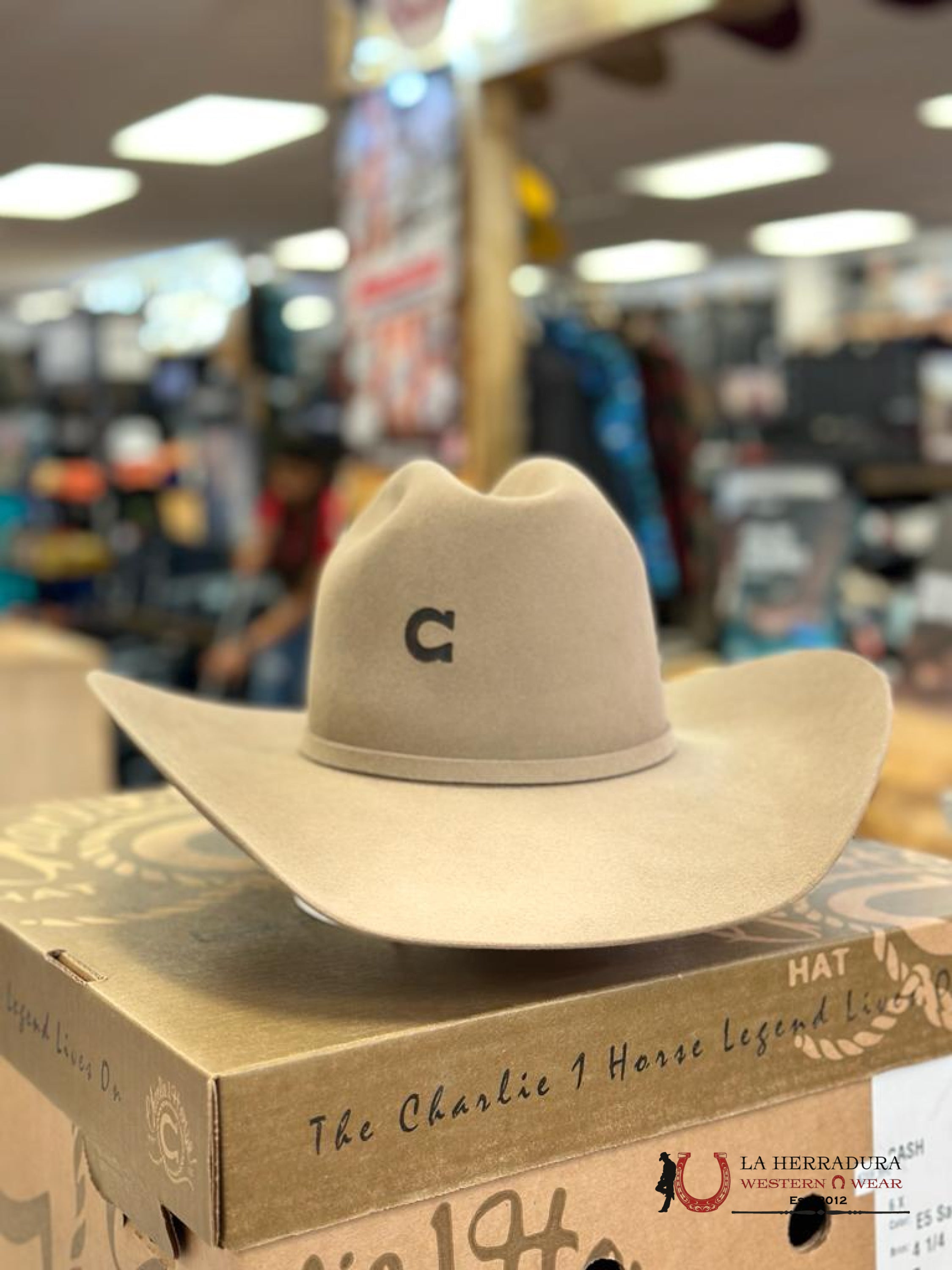 Charlie 1 Horse Cash 6X Sahara Texanas Mujeres