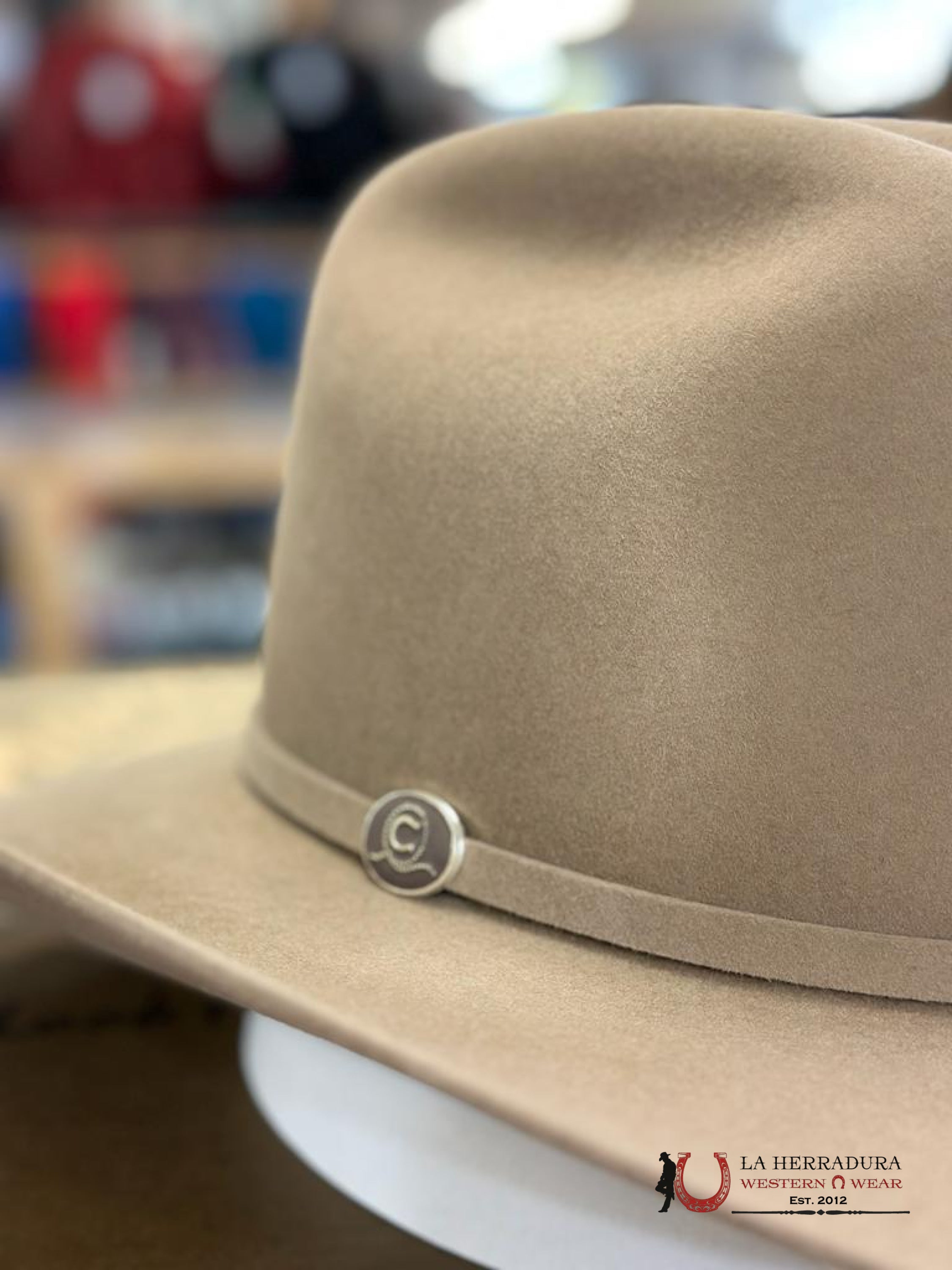 Charlie 1 Horse Cash 6X Sahara Texanas Mujeres