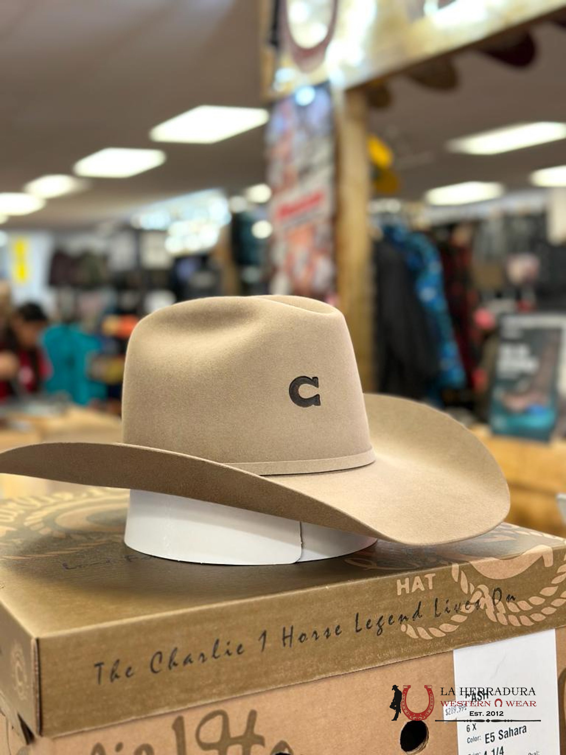 Charlie 1 Horse Cash 6X Sahara Texanas Mujeres