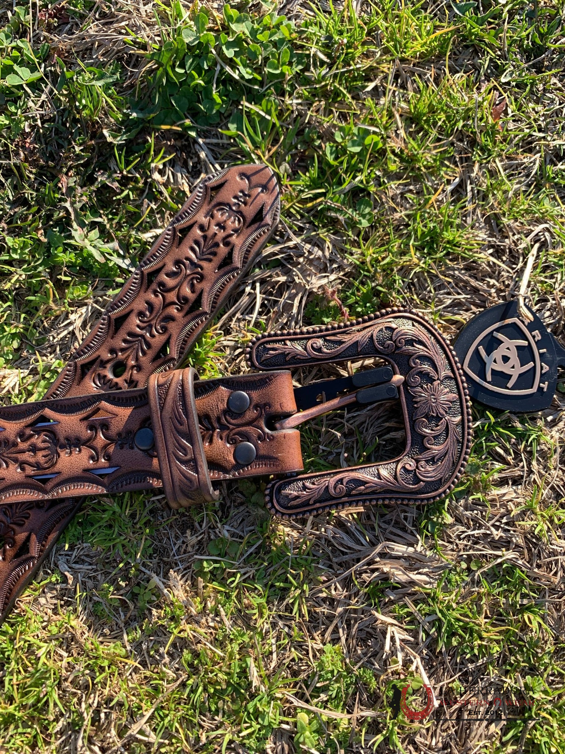 Cinturon Para Dama Ariat Sincelado 3667 Cafe Cinturones Mujeres