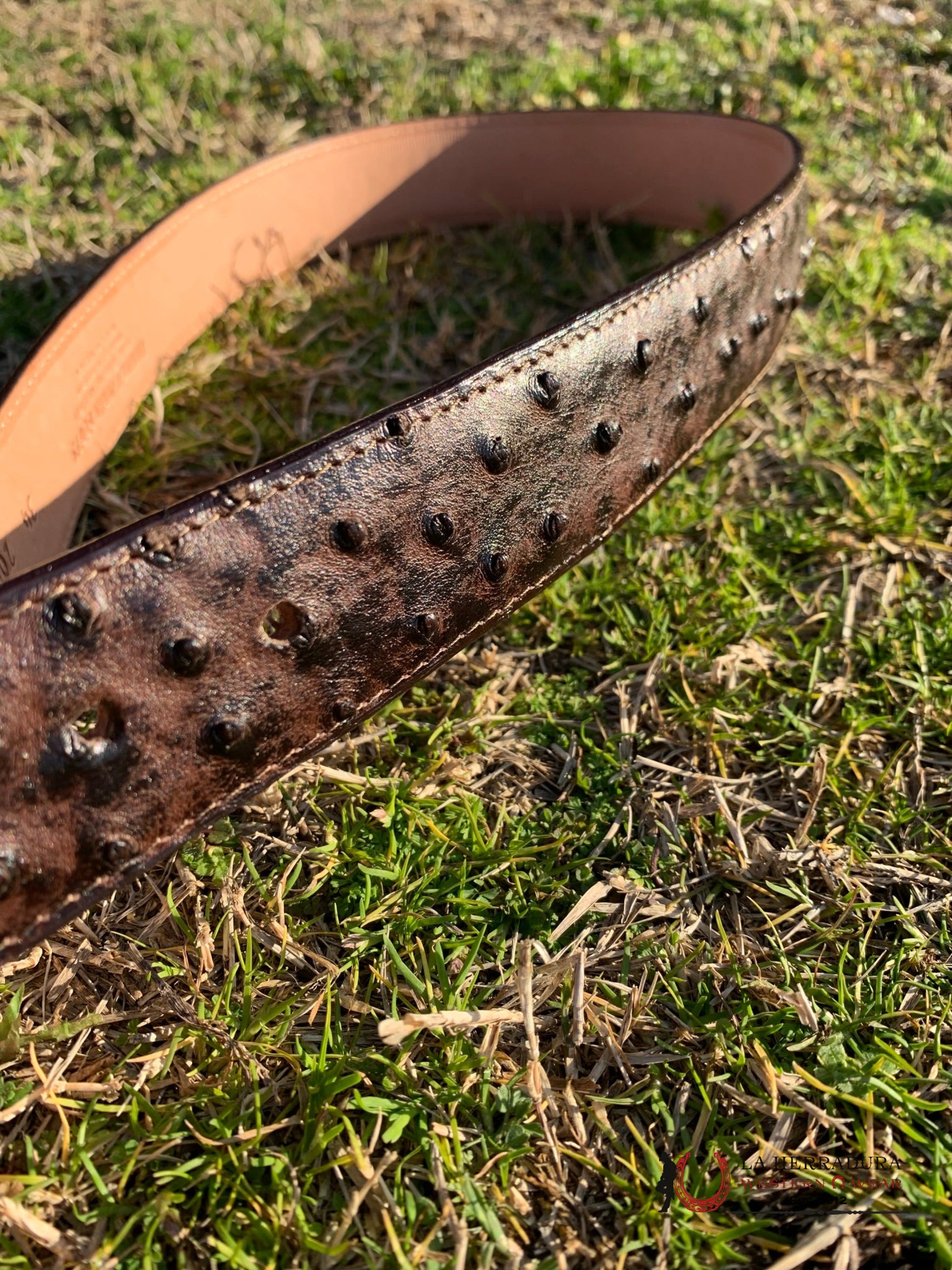 Cinturon Tanner Mark Para Hombre Avestruz Brown Imit Cinturones Hombres