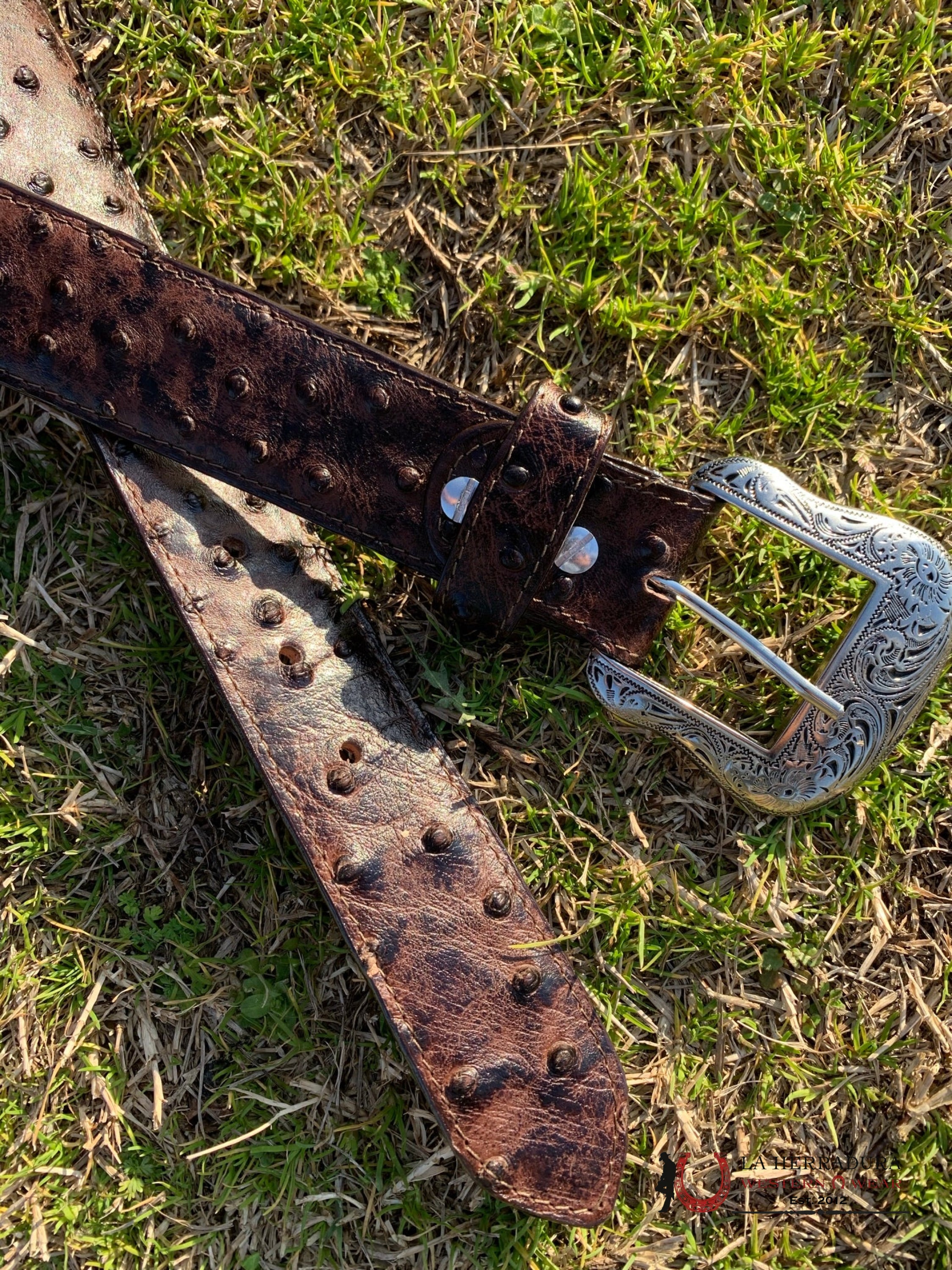 Cinturon Tanner Mark Para Hombre Avestruz Brown Imit Cinturones Hombres