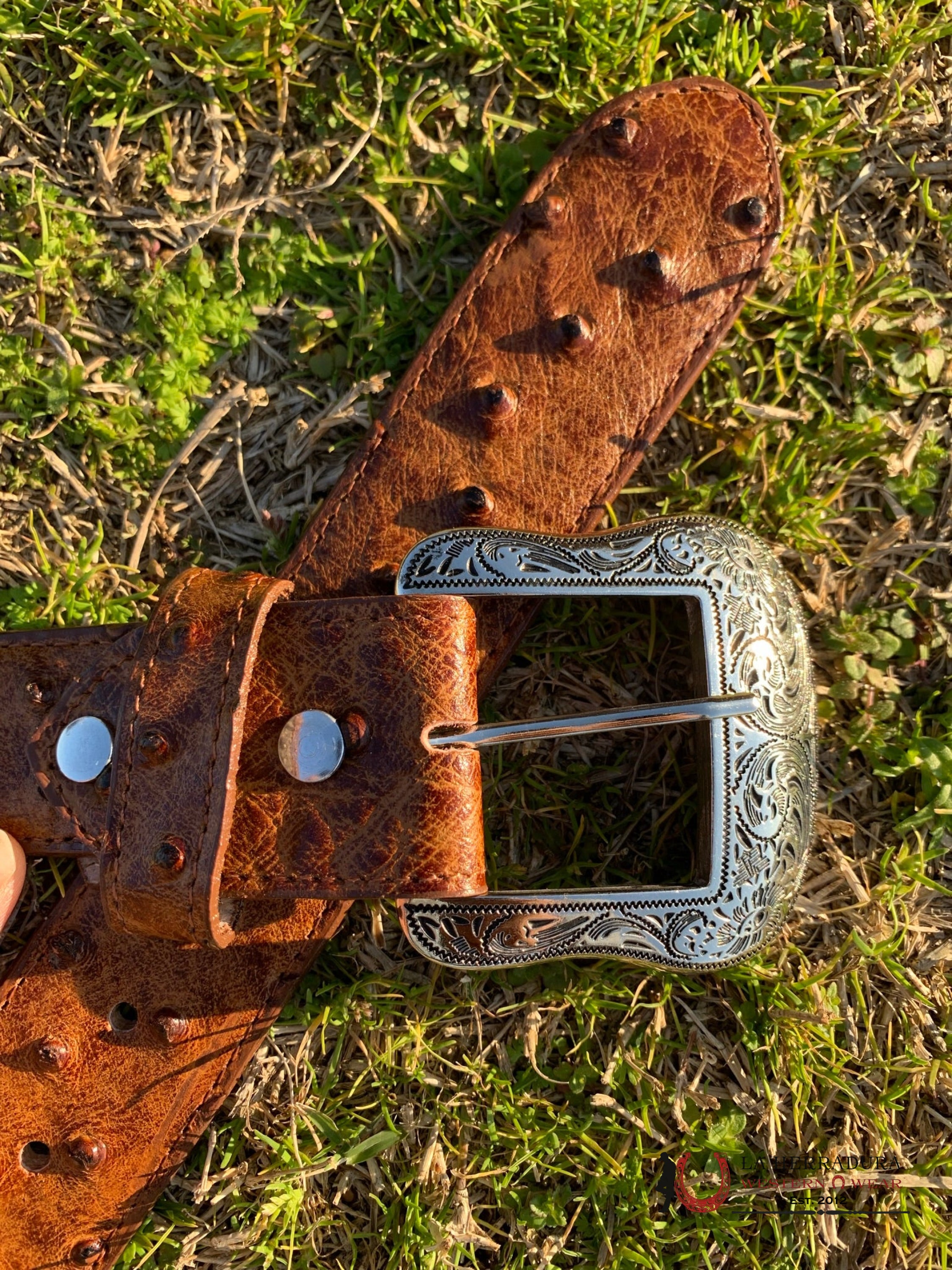 Cinturon Tanner Mark Para Hombre Avestruz Coñag Imit Cinturones Hombres