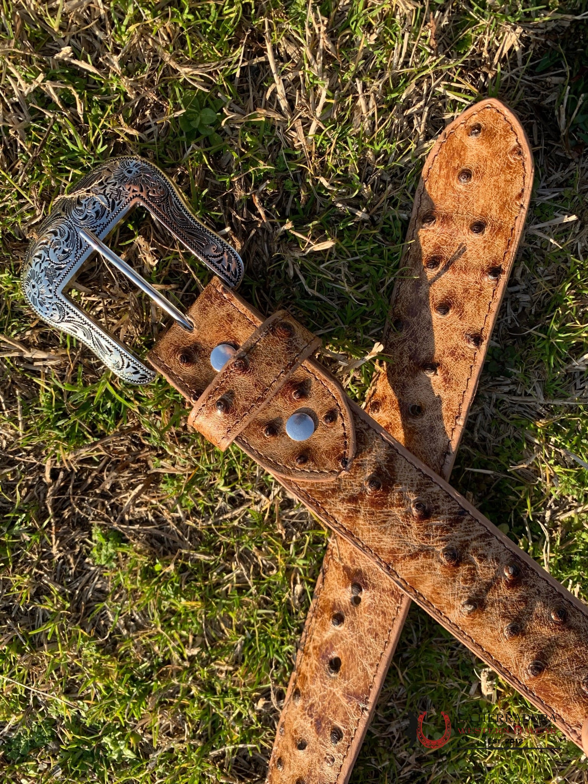 Cinturon Tanner Mark Para Hombre Avestruz Orix Imit Cinturones Hombres