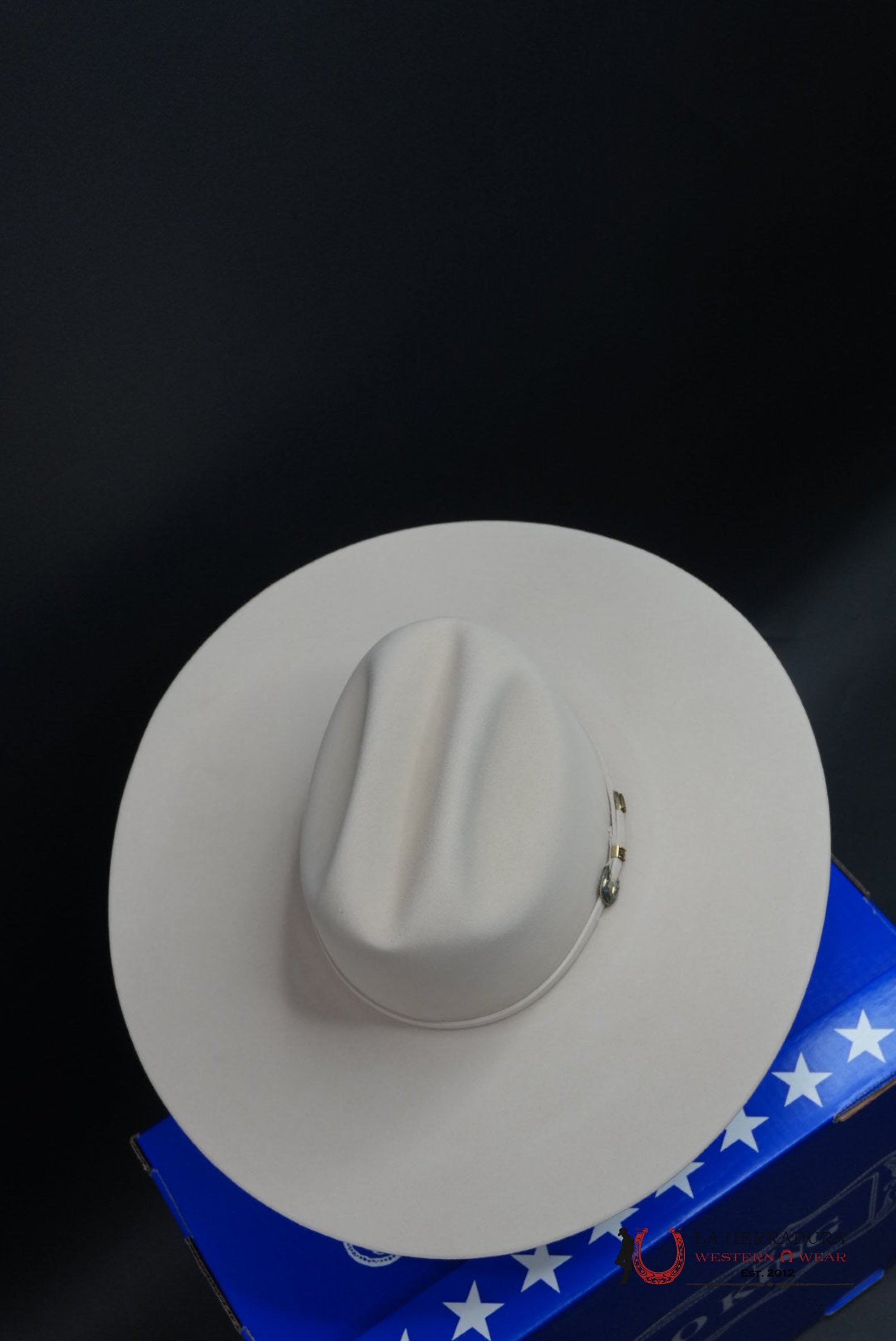 COWBOY HAT RODEO KING 100X SILVERBELLY TOP HAND MALBORO STYLE TEJANA