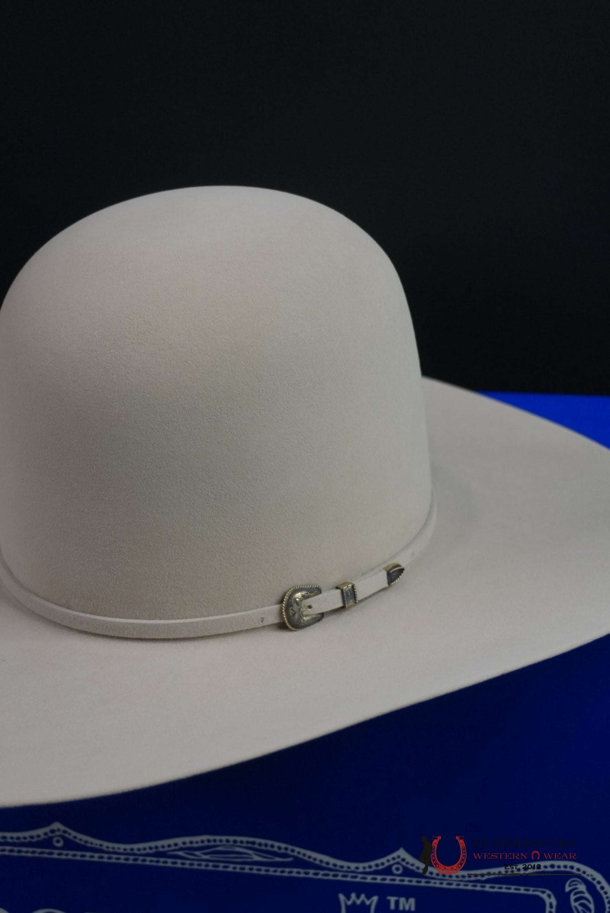 COWBOY HAT RODEO KING 60X SILVER BELLY TEJANA