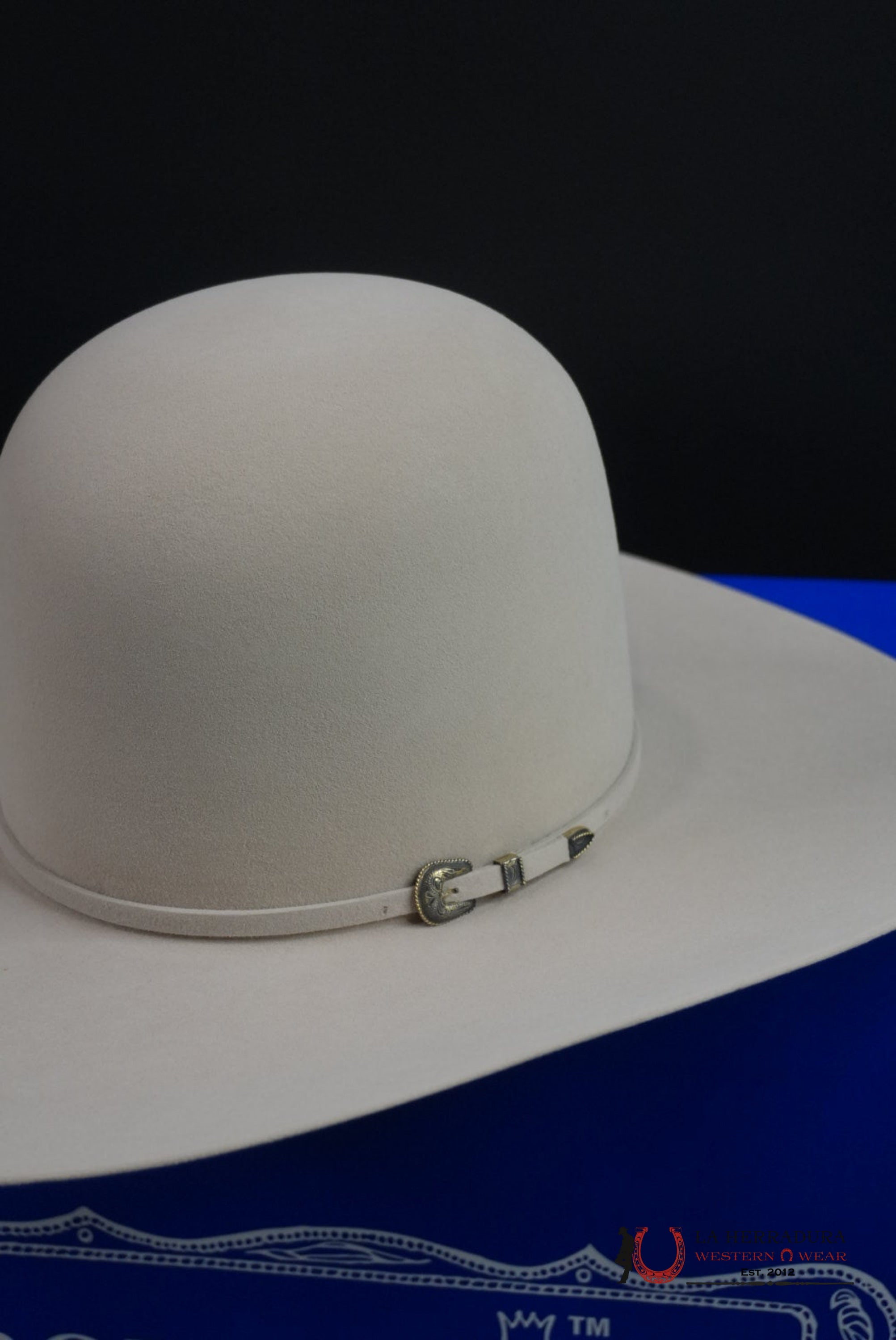 COWBOY HAT RODEO KING 60X SILVER BELLY TEJANA